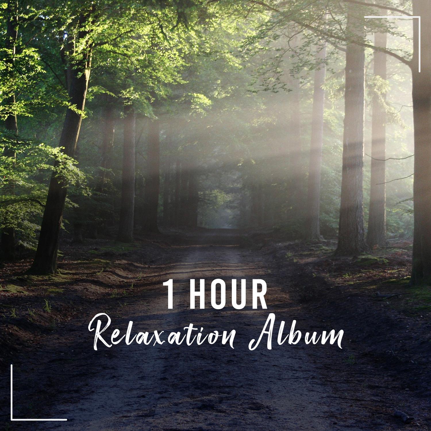 1 Hour Relaxing, Ambient Noises for Rejuvenation