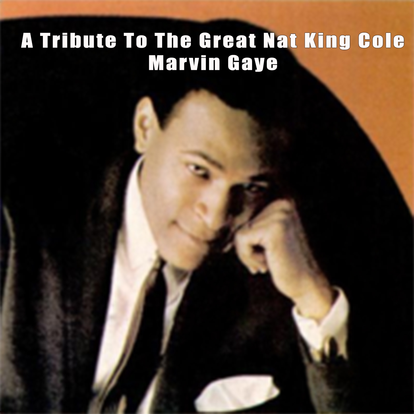A Tribute To The Great Nat King Cole - Marvin Gaye