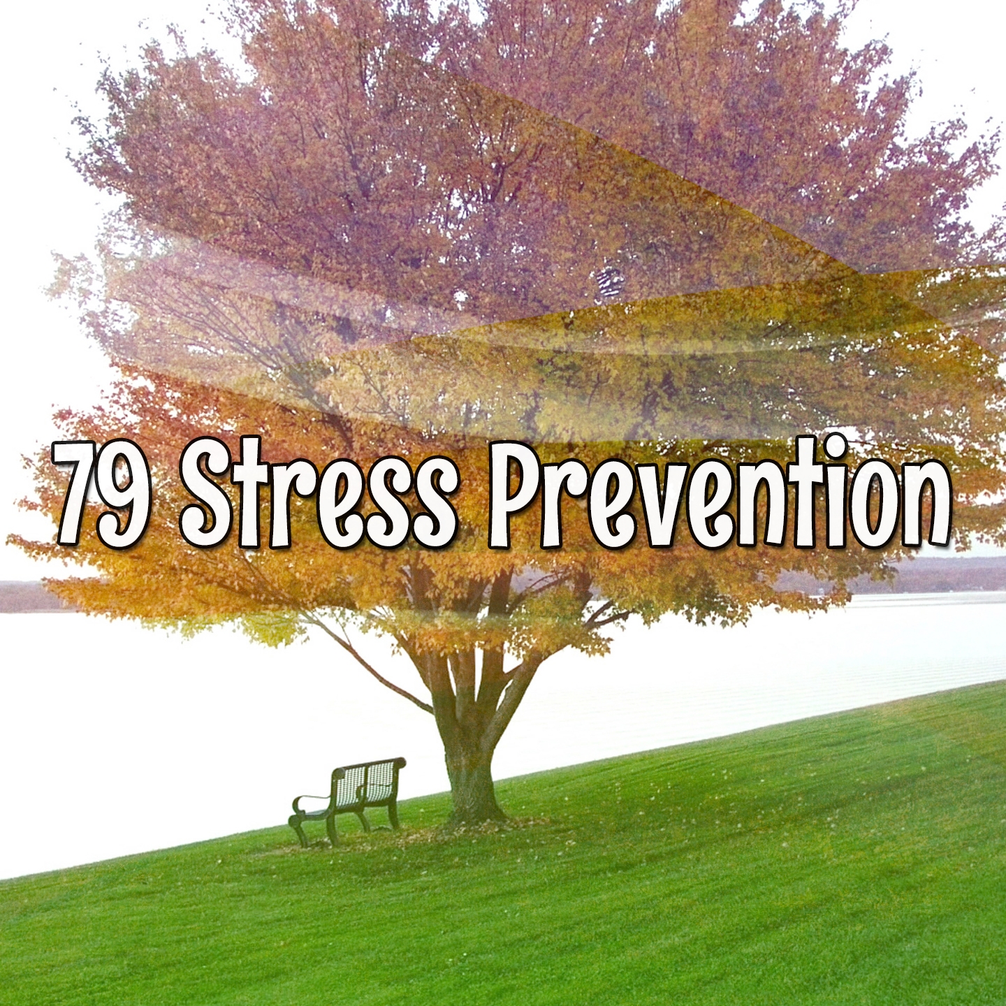 79 Stress Prevention