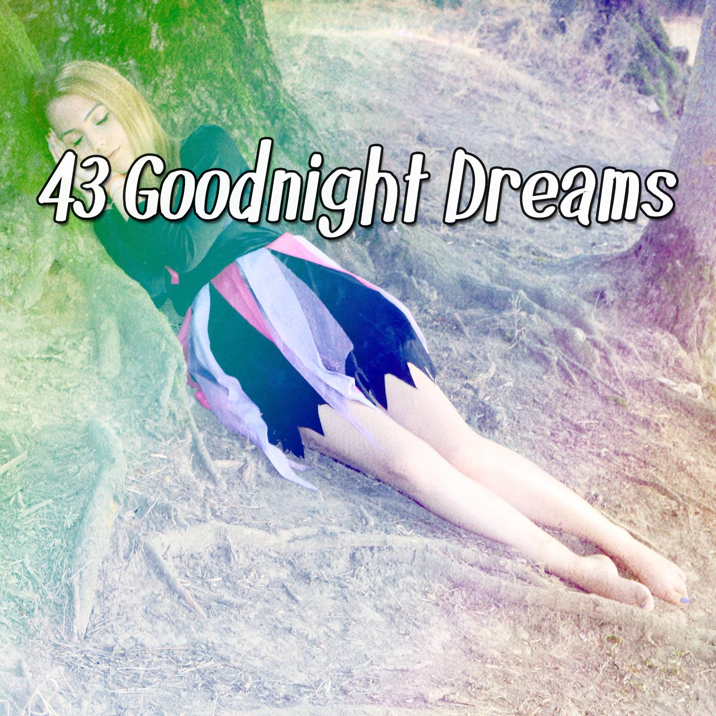 43 Goodnight Dreams