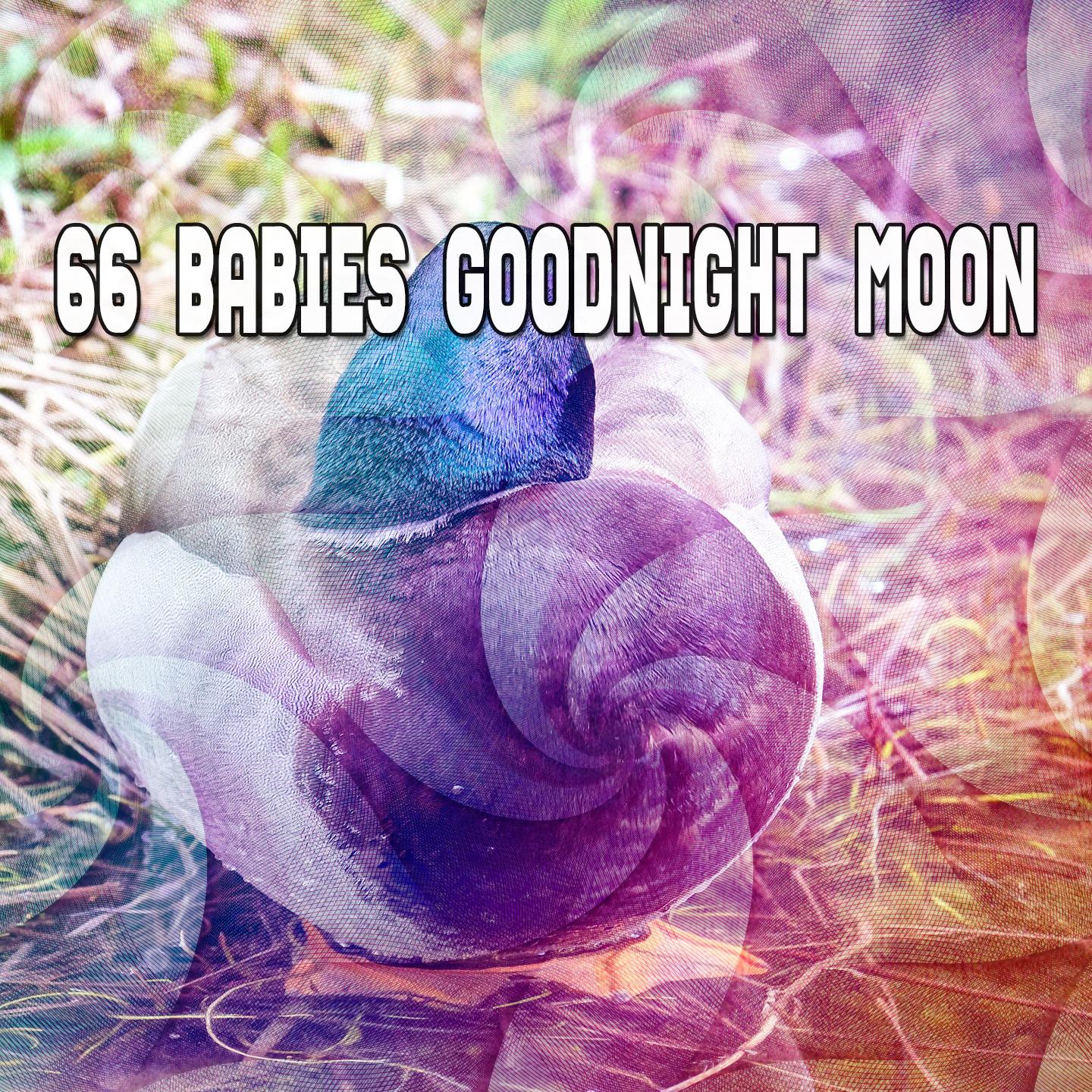 66 Babies Goodnight Moon