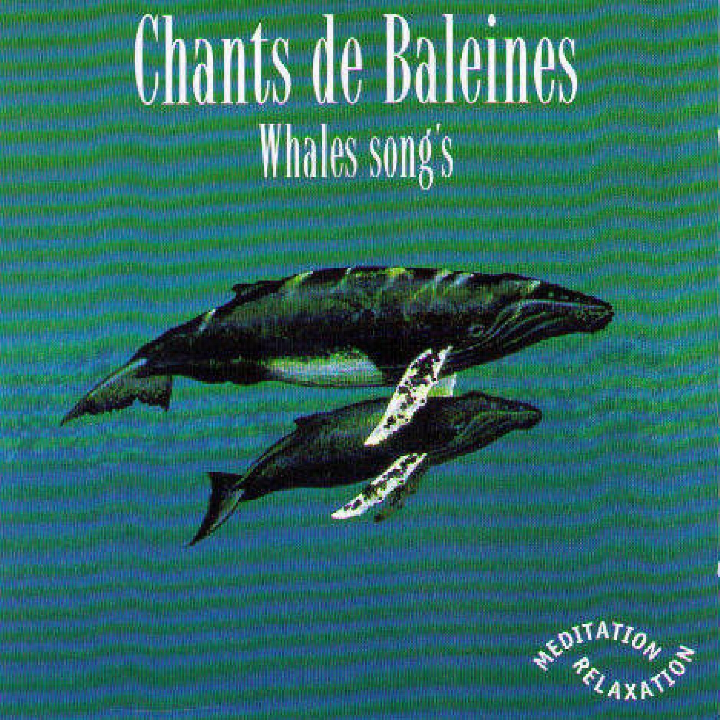 Chants de baleines (One Full Hour of Whales Songs)