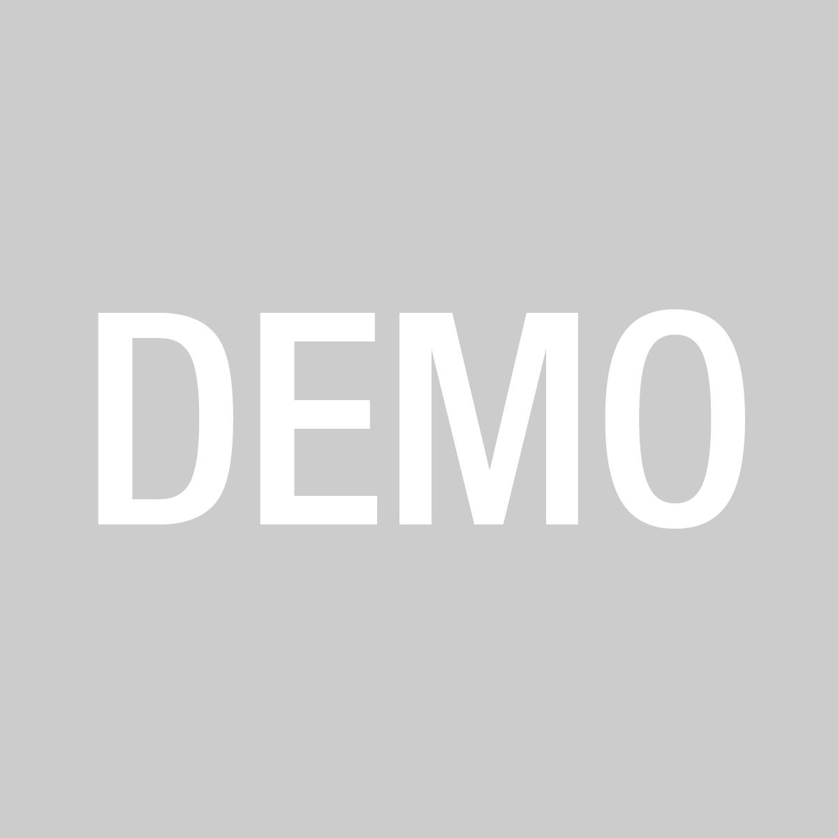 DEMO1