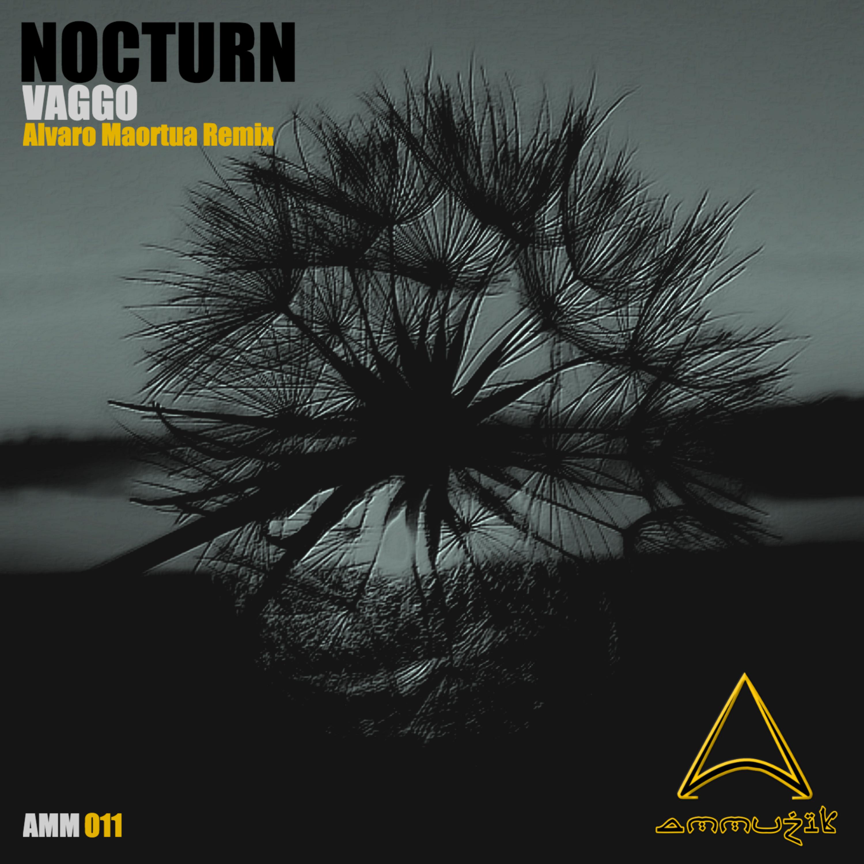 Nocturn