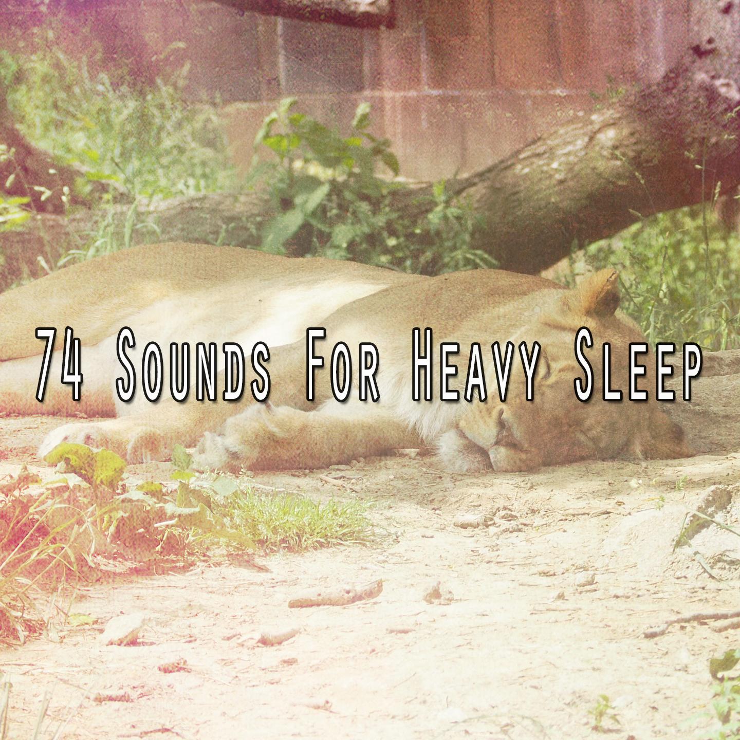 74 Sounds For Heavy Sleep