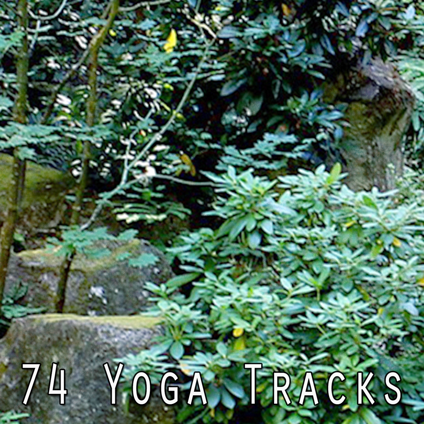 74 Yoga Tracks