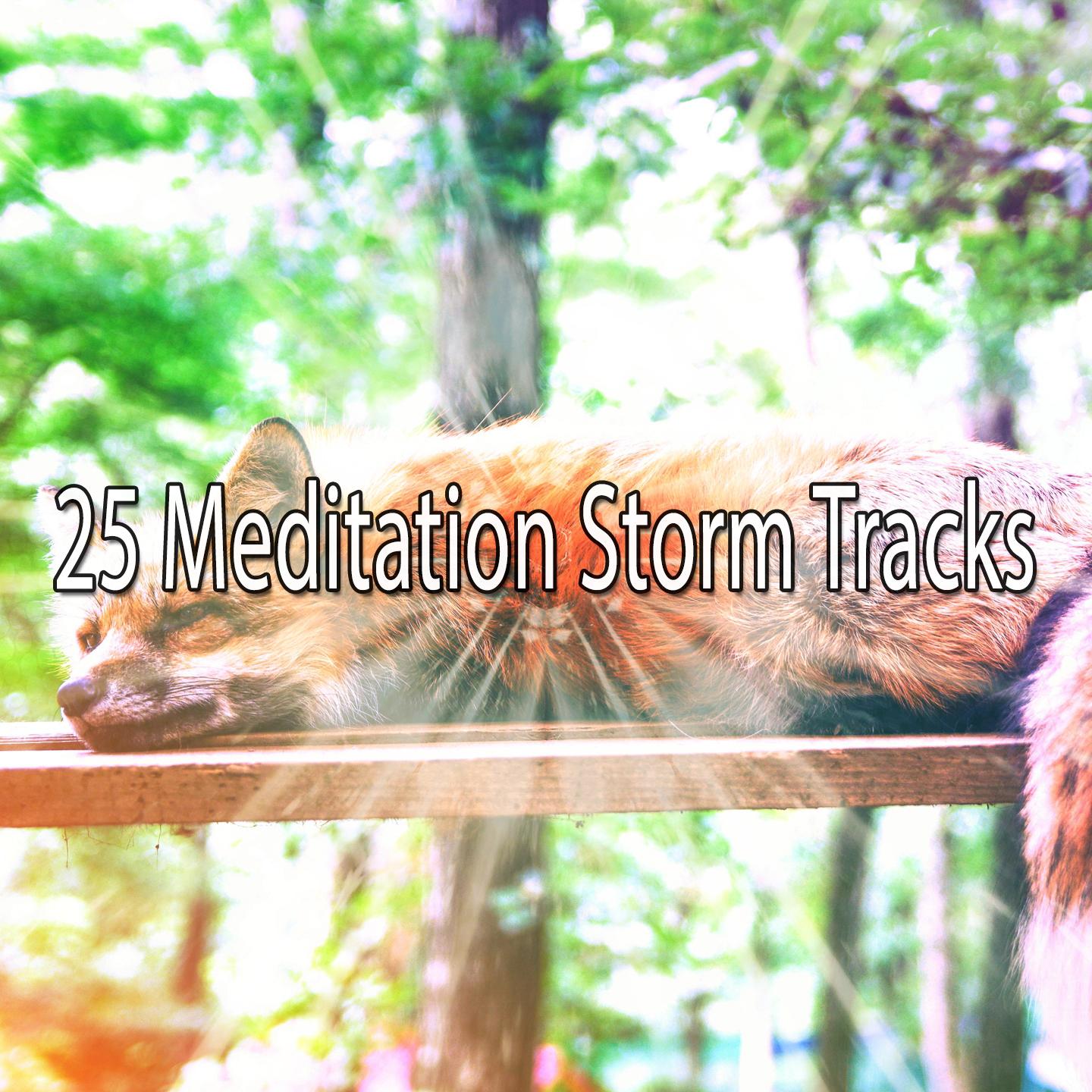 25 Meditation Storm Tracks