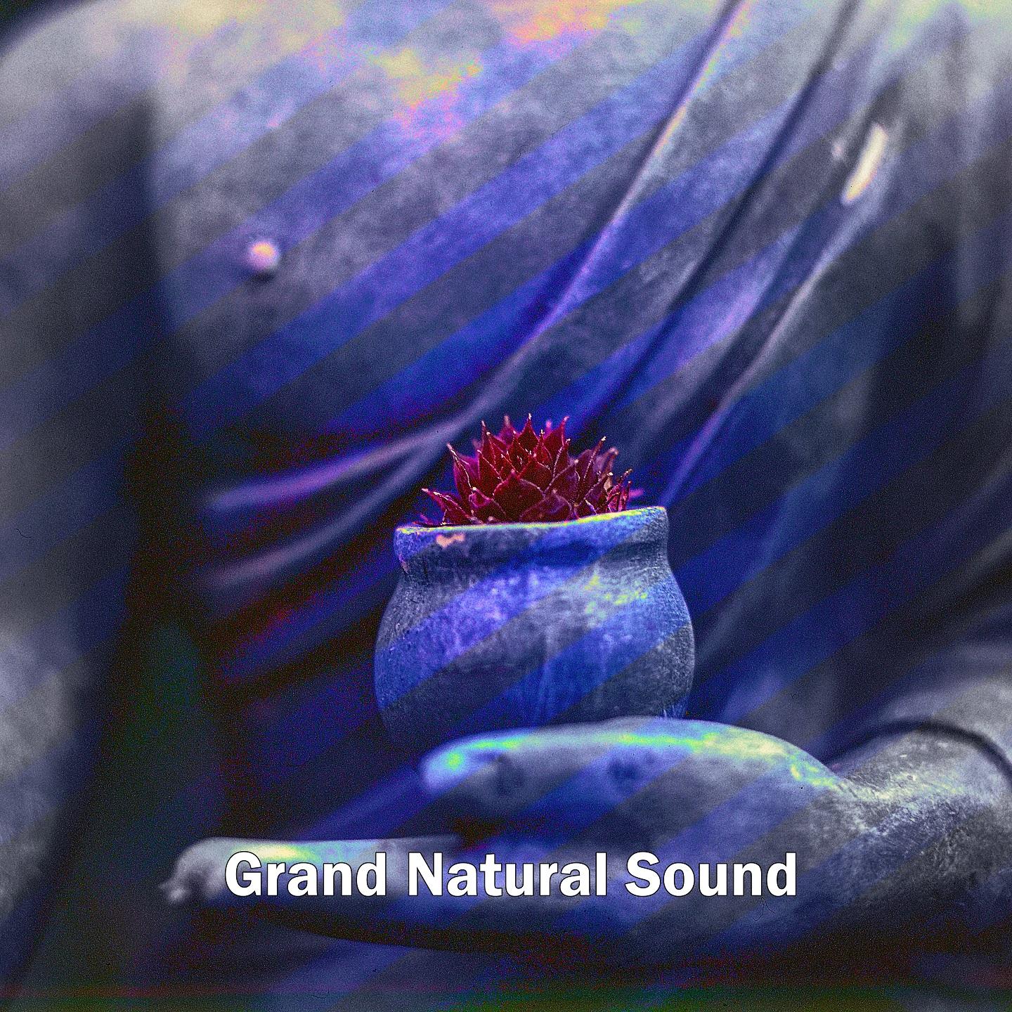 Grand Natural Sound