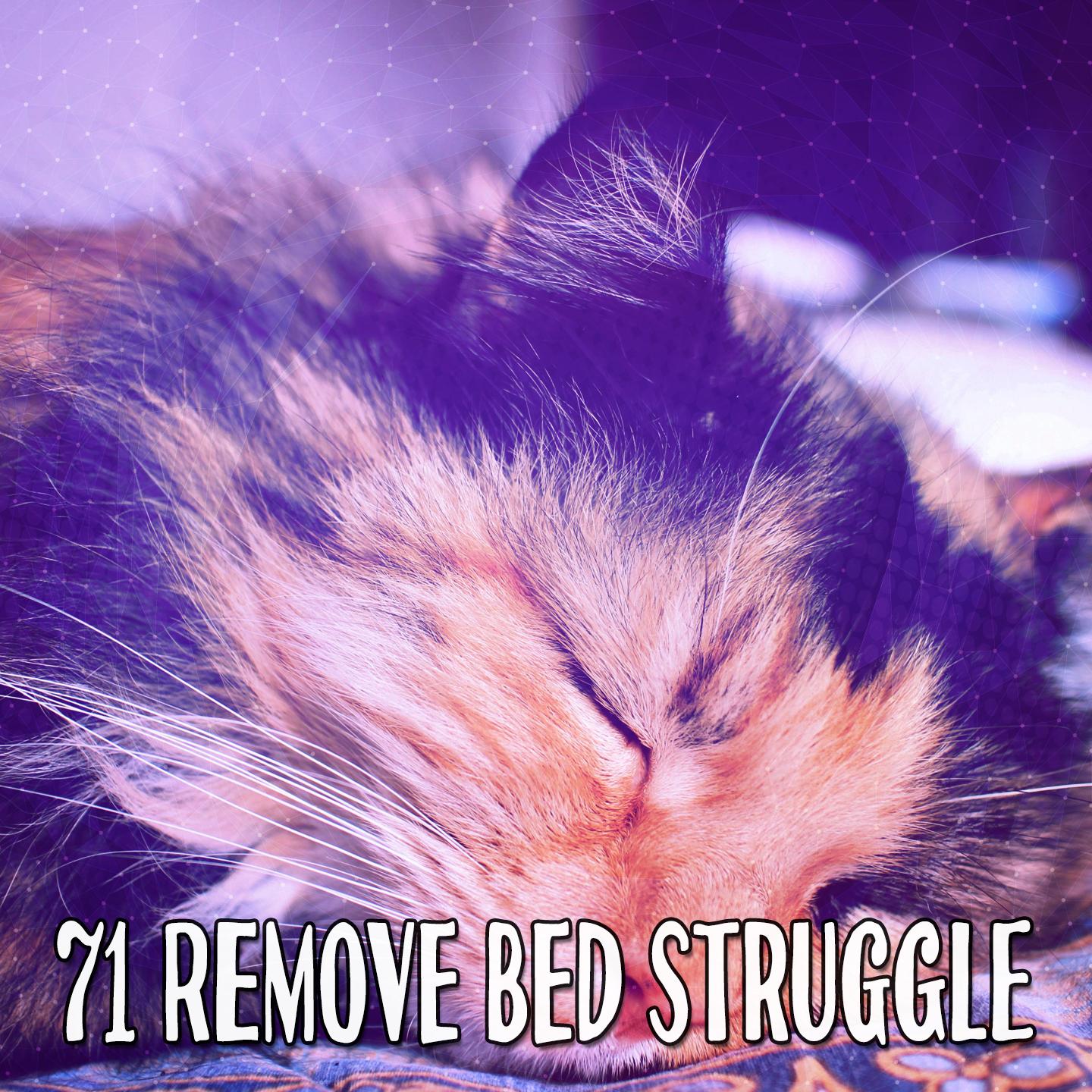71 Remove Bed Struggle