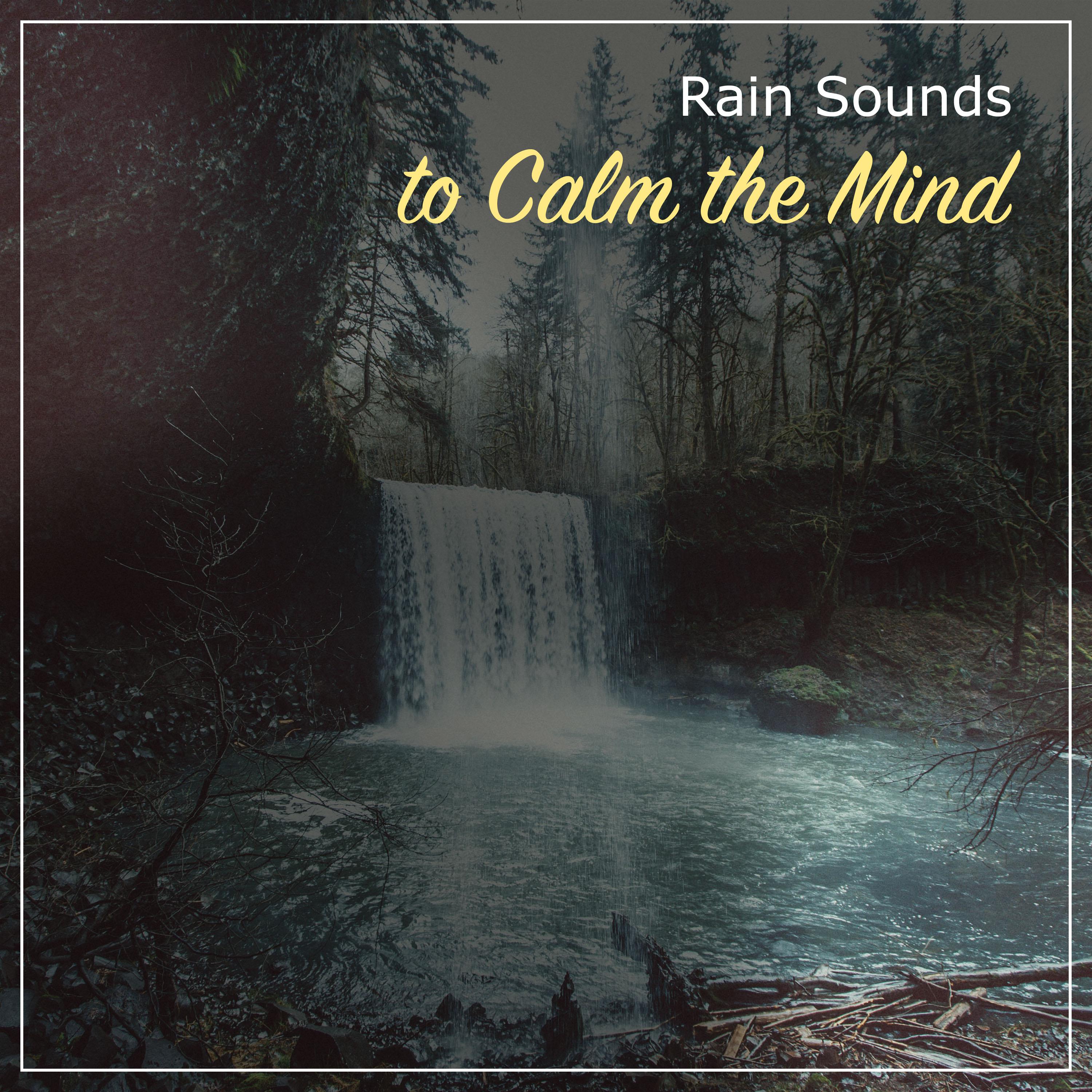 20 Chilled Rain Storms for Calm Inside