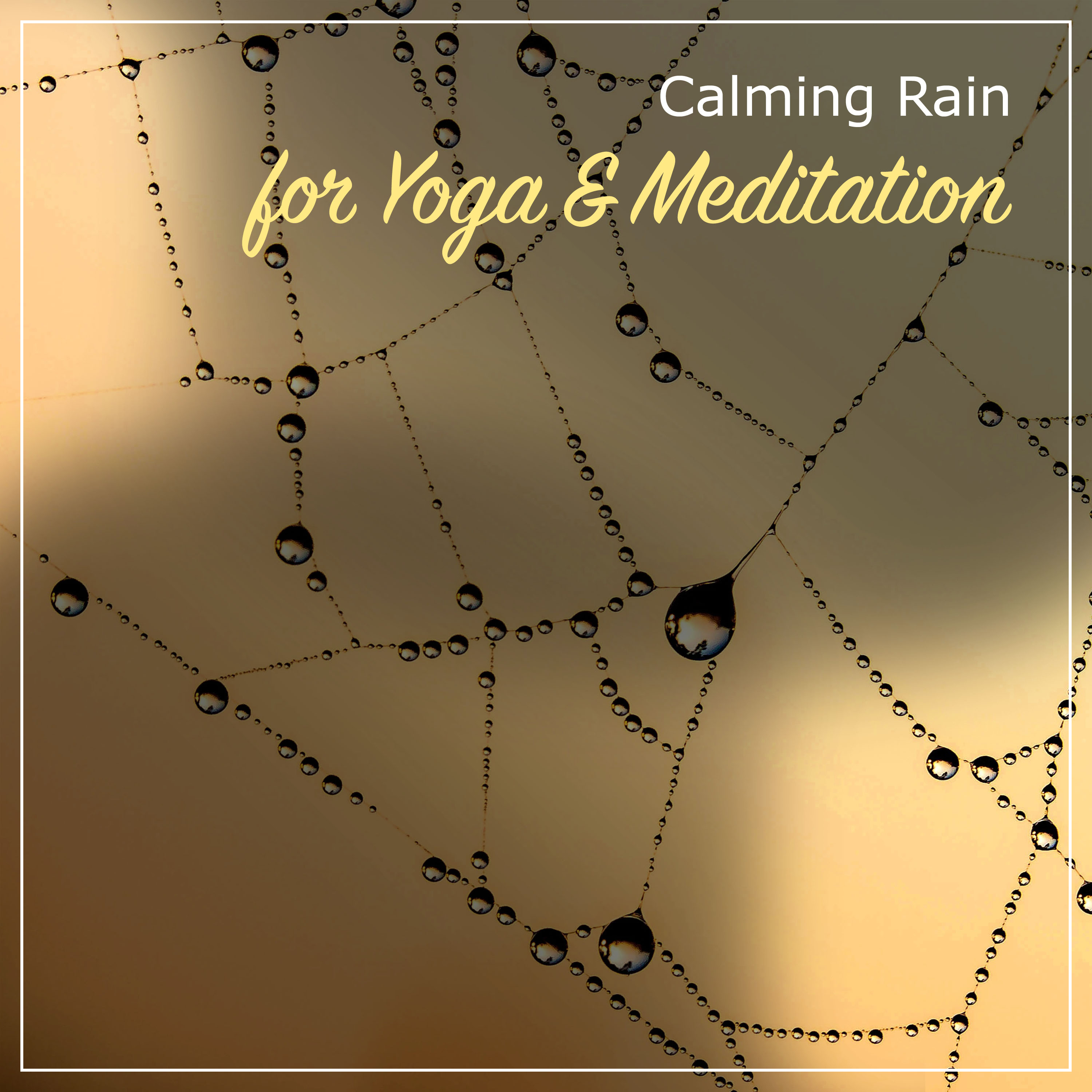 11 Calming Rain Album to Relieve Stress