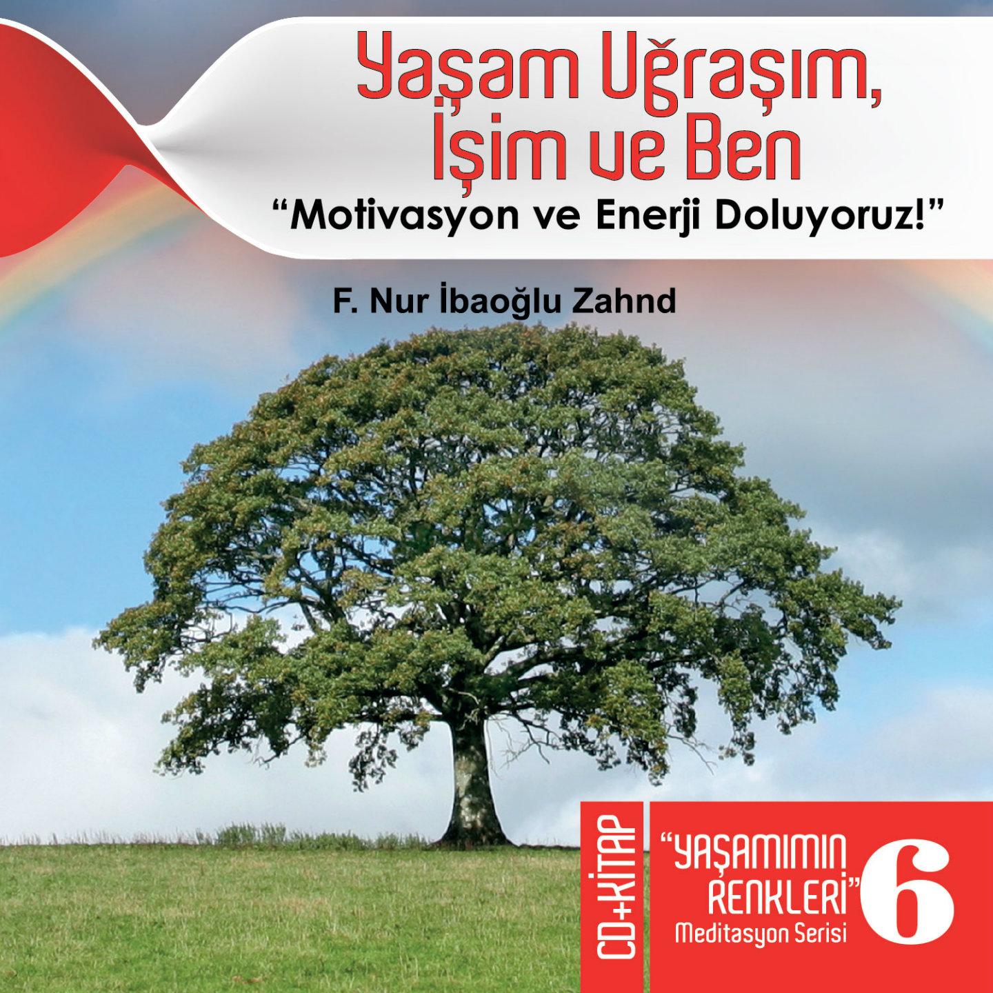 Yaşam Uğraşım, İşim ve Ben (Yaşamımın Rnkleri Meditasyon Serisi 6)