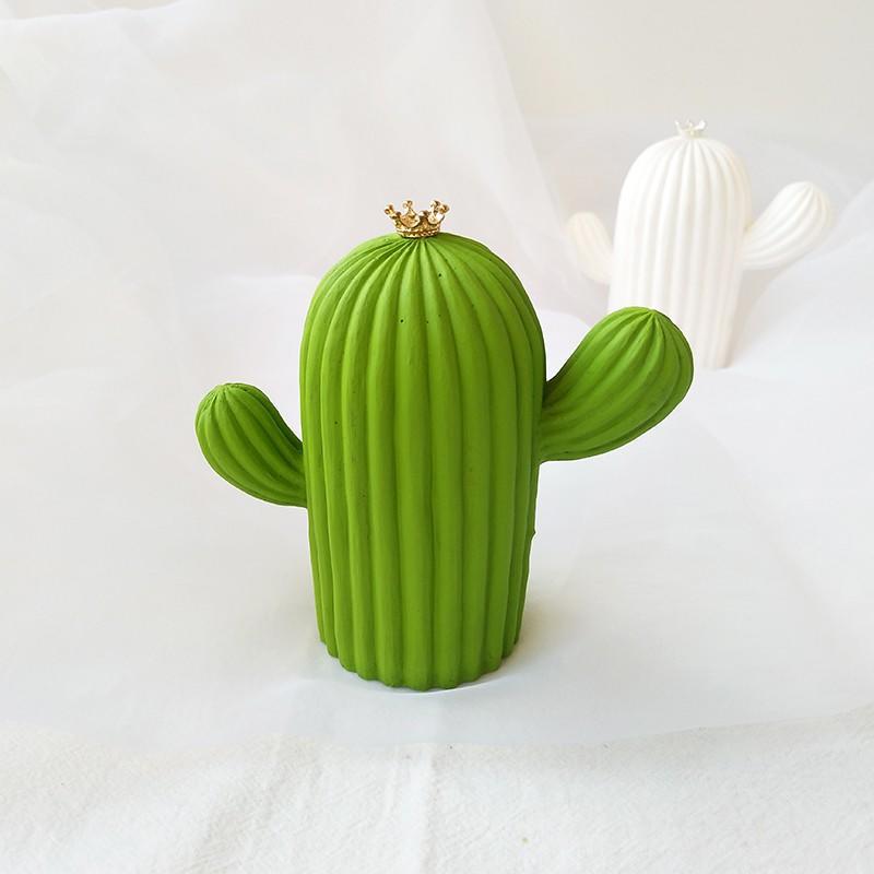 Cactus Love (仙人掌之恋)