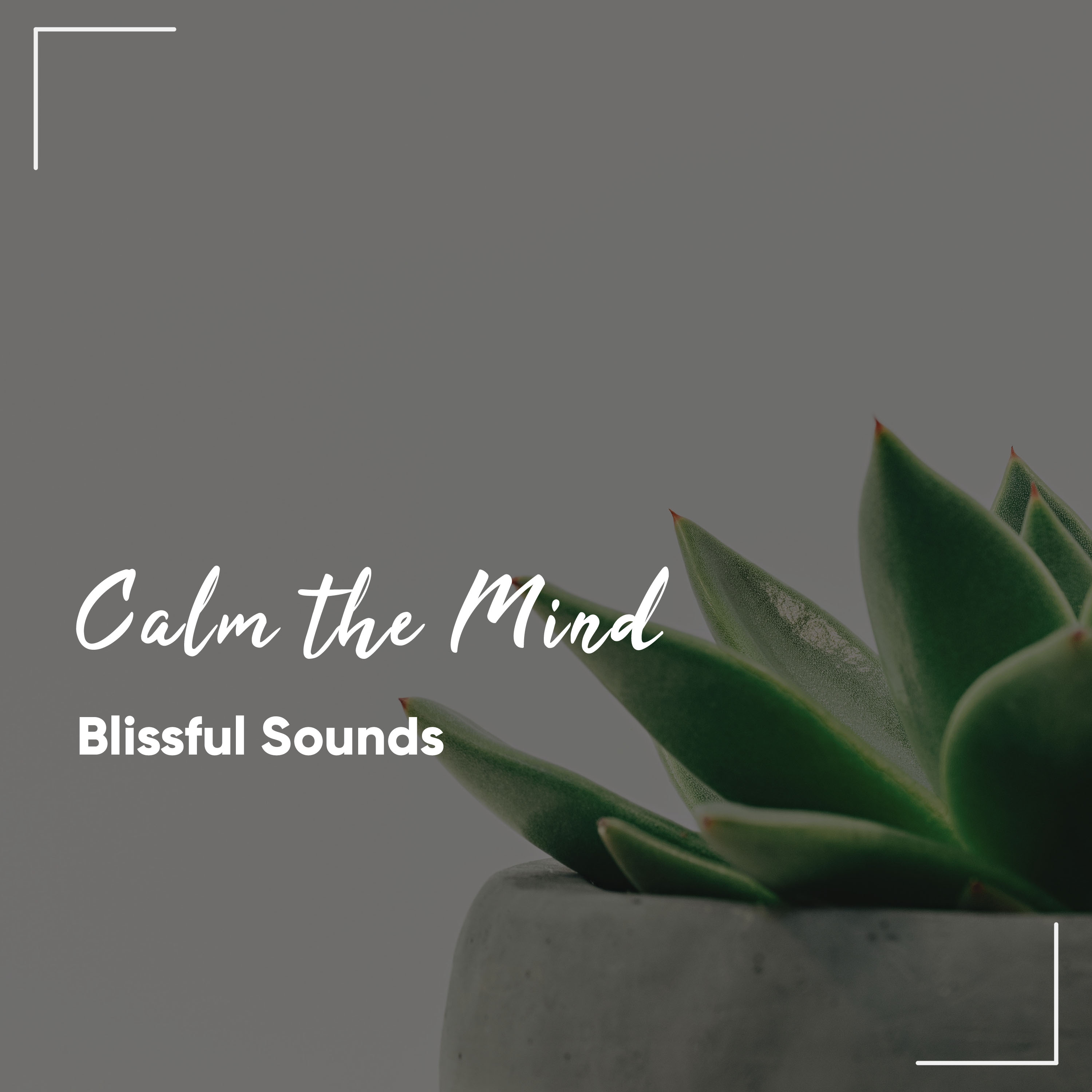 20 Naturally Calming Noises for Enlightenment