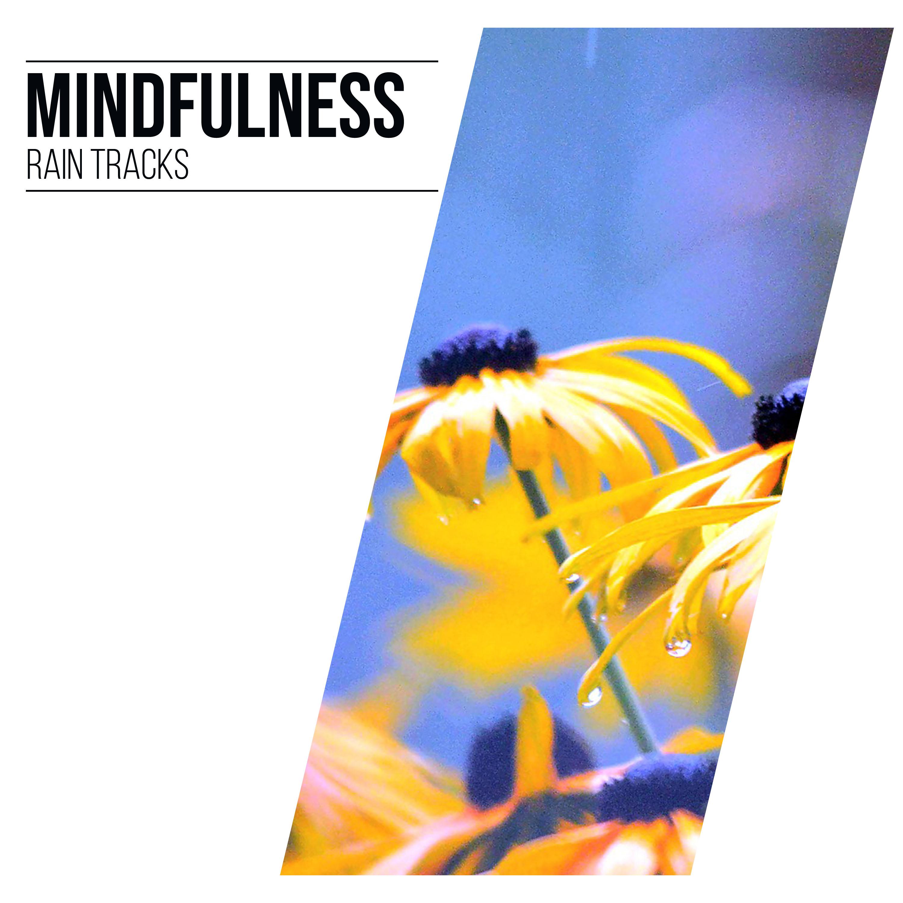 11 Mindfulness Rain Tracks for Enhanced Wellness