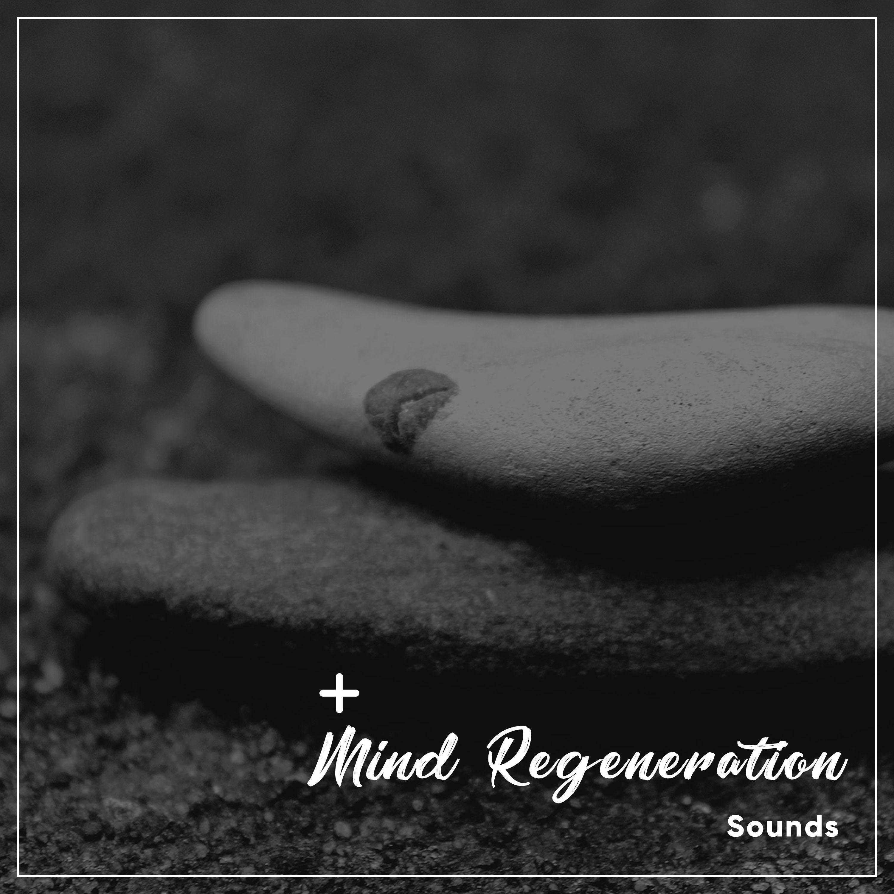 20 Mind Regeneration Sounds