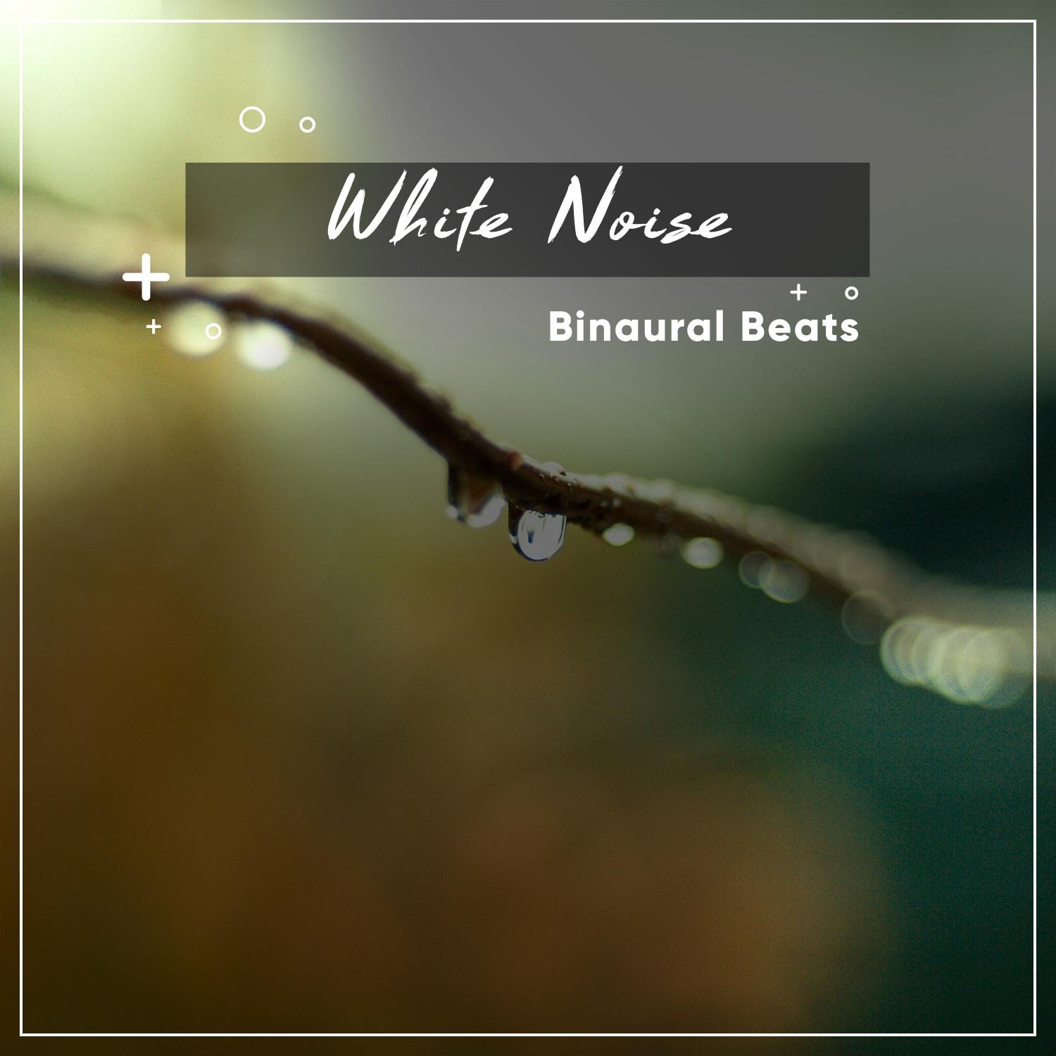 14 White Noise Binaural Beats