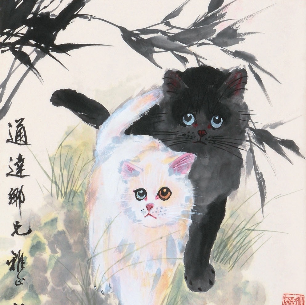 黑猫白猫