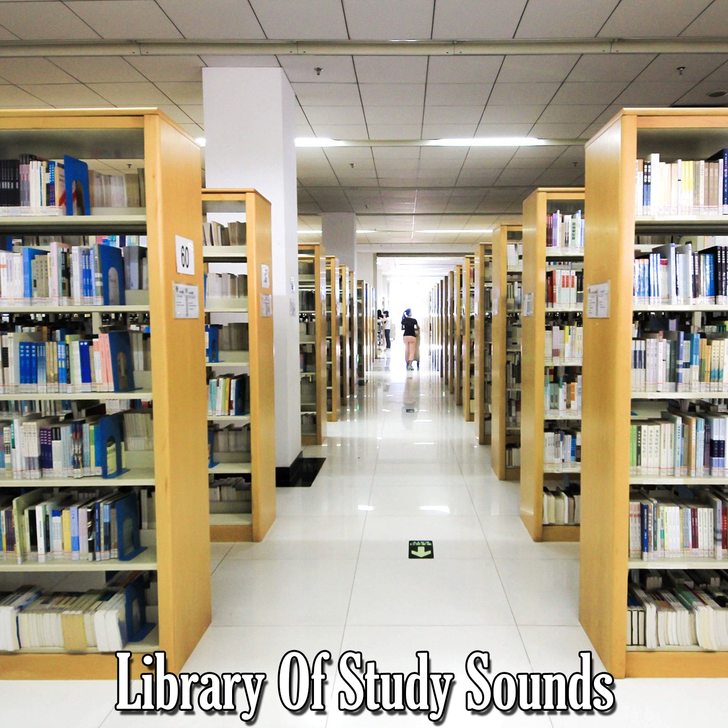 Library Of Study Sounds