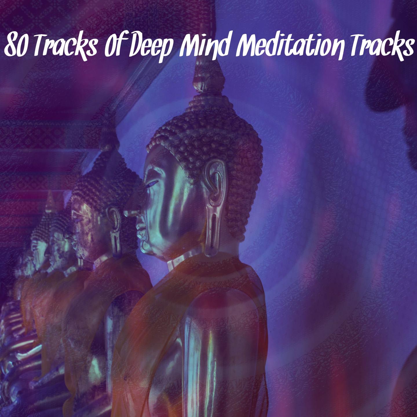 80 Tracks Of Deep Mind Meditation Tracks