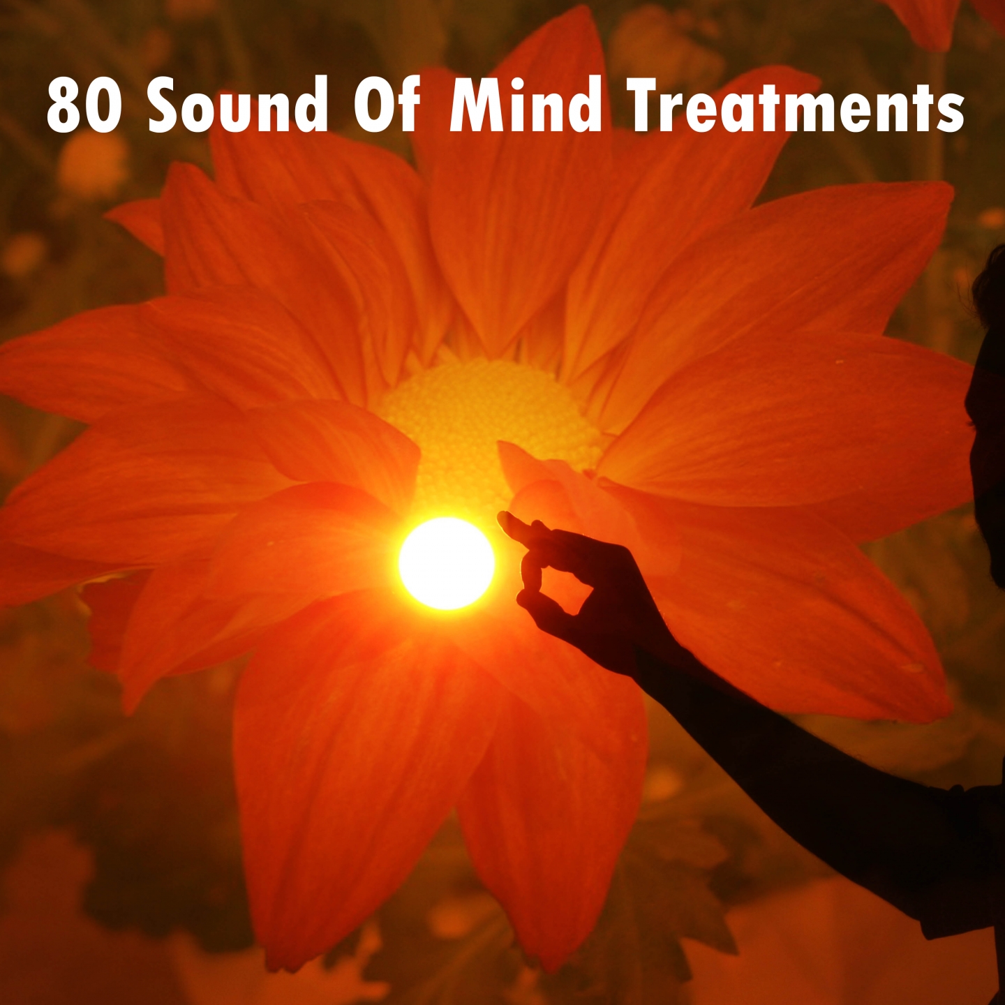 80 Sound Of Mind Treatments