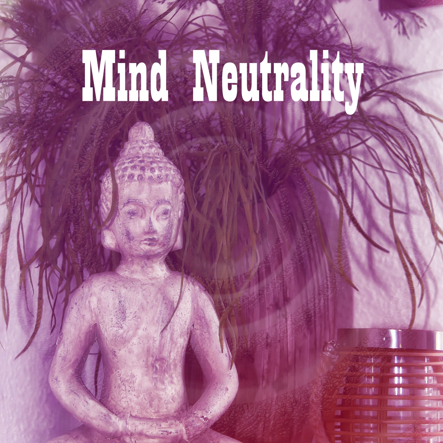 Mind Neutrality