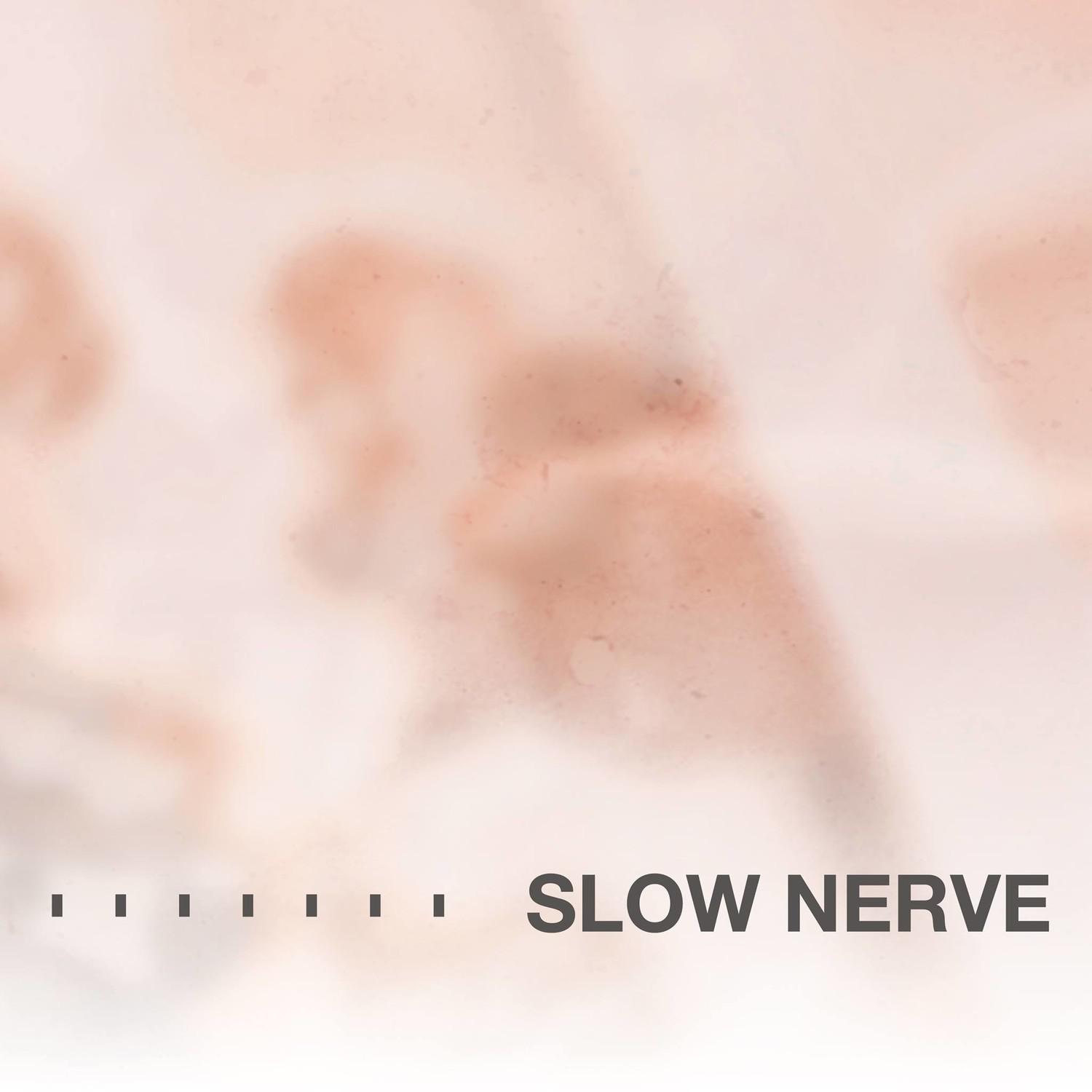 Slow Nerve