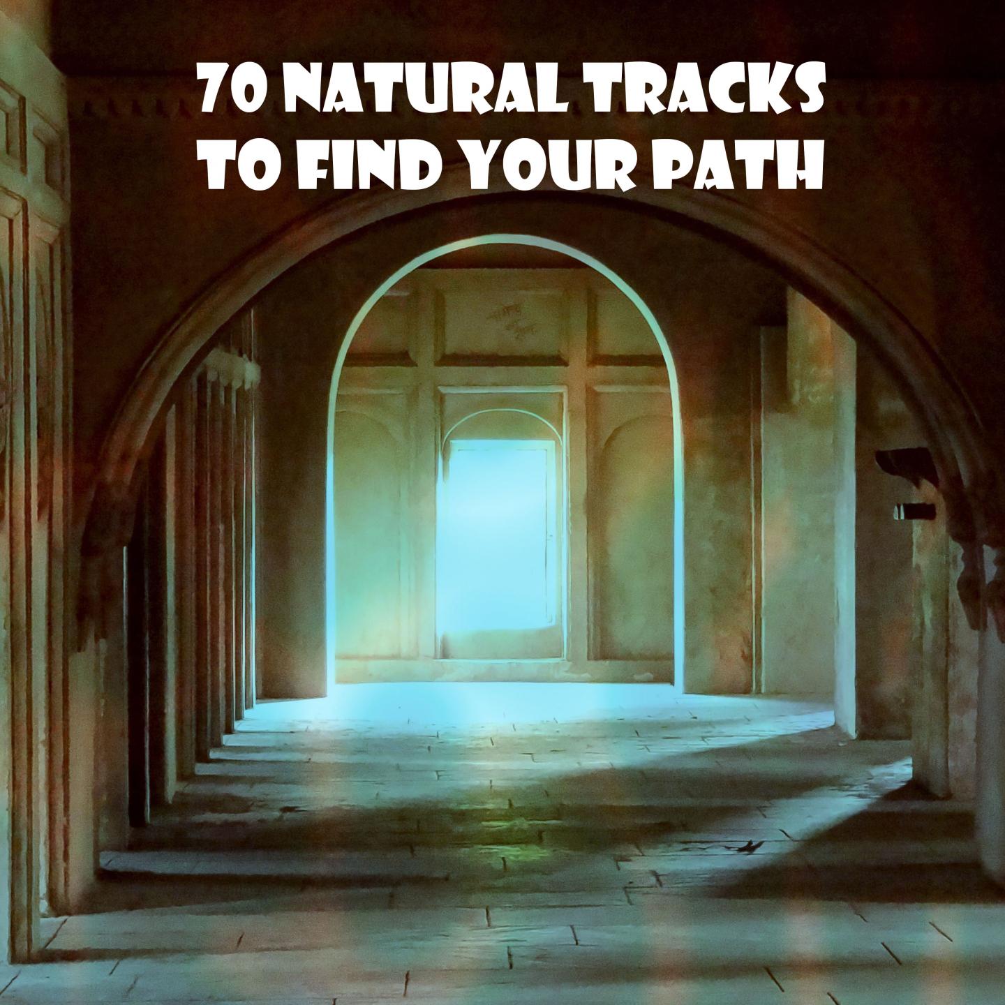 70 Natural Tracks To Find Your Path