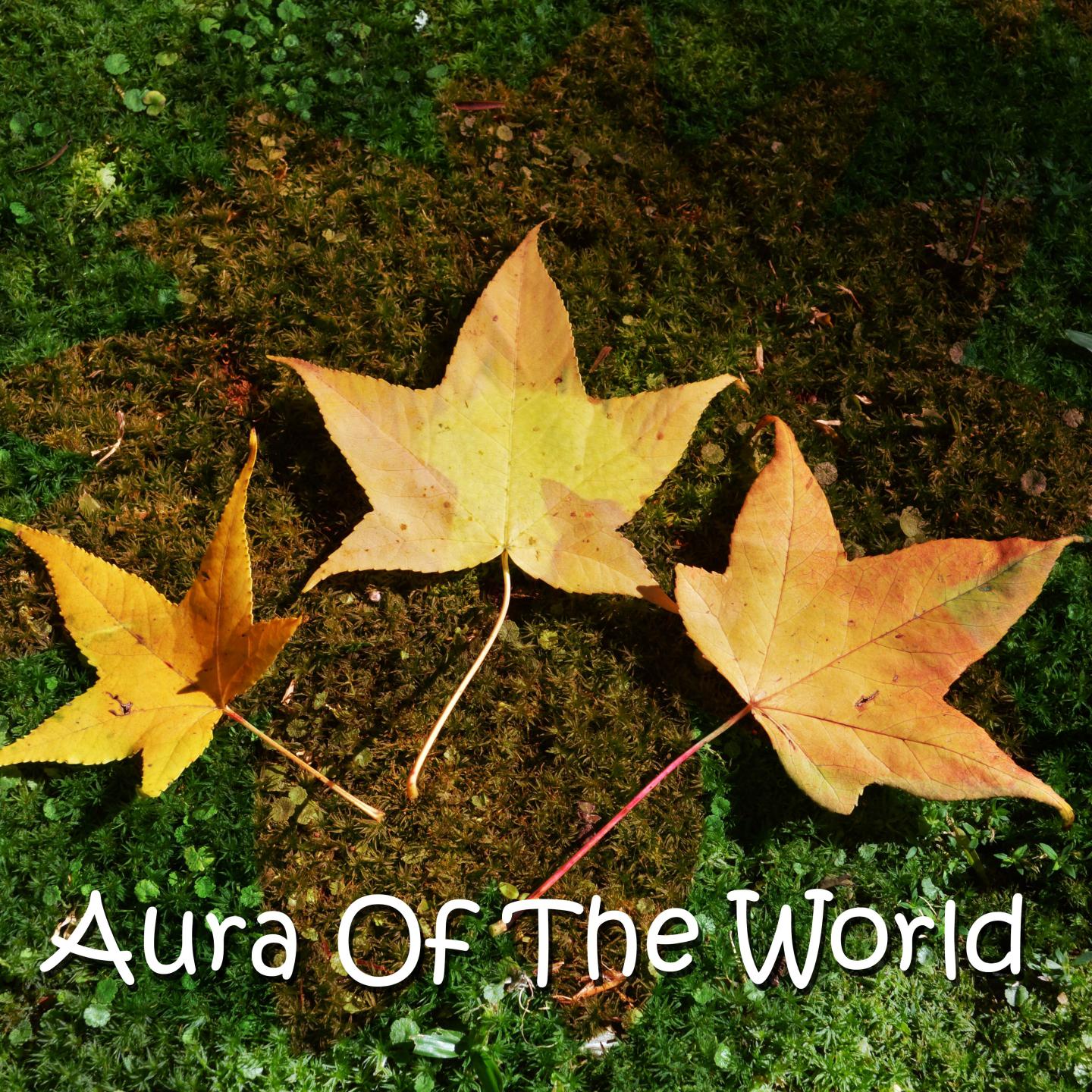 Aura Of The World