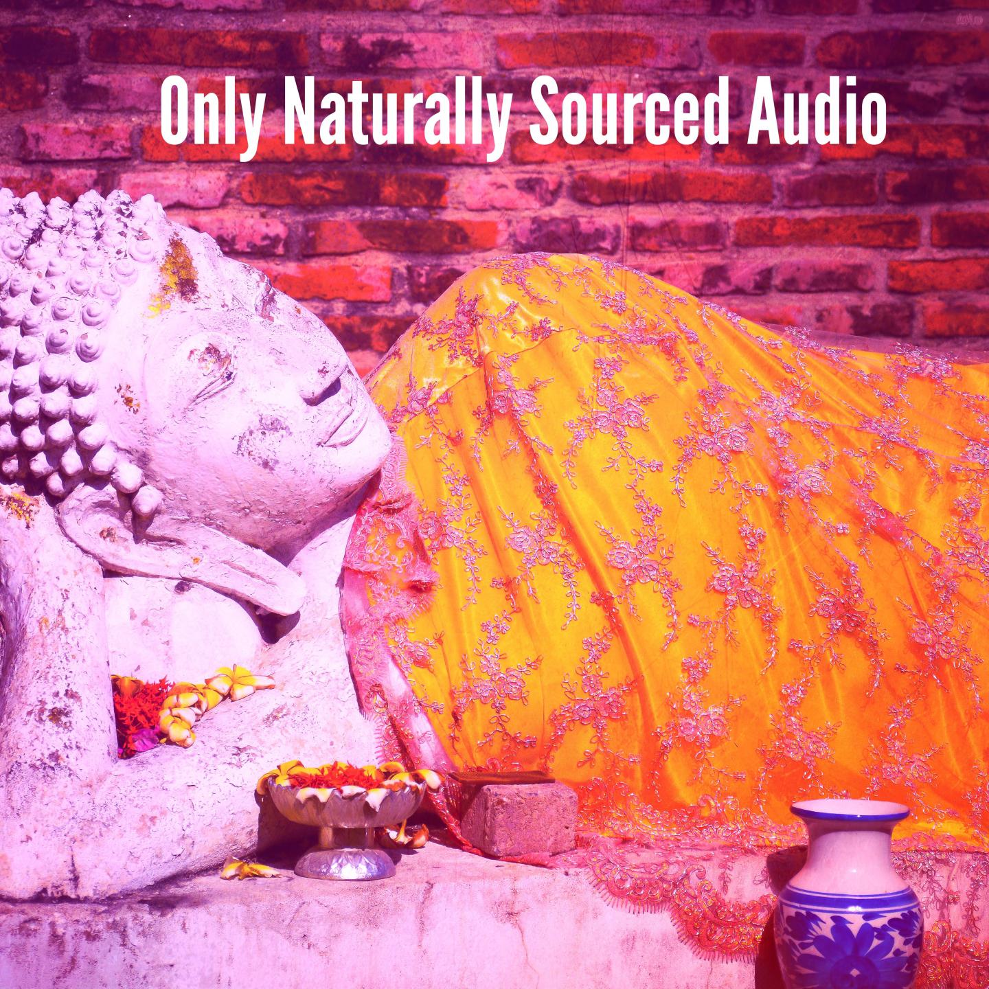 Only Naturally Sourced Audio