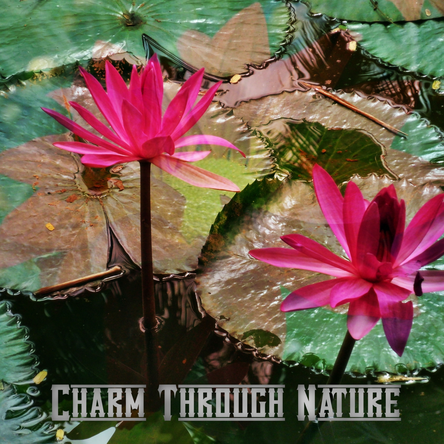 Charm Through Nature