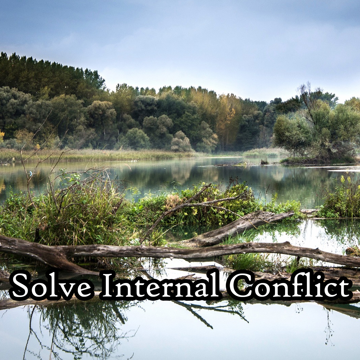 Solve Internal Conflict