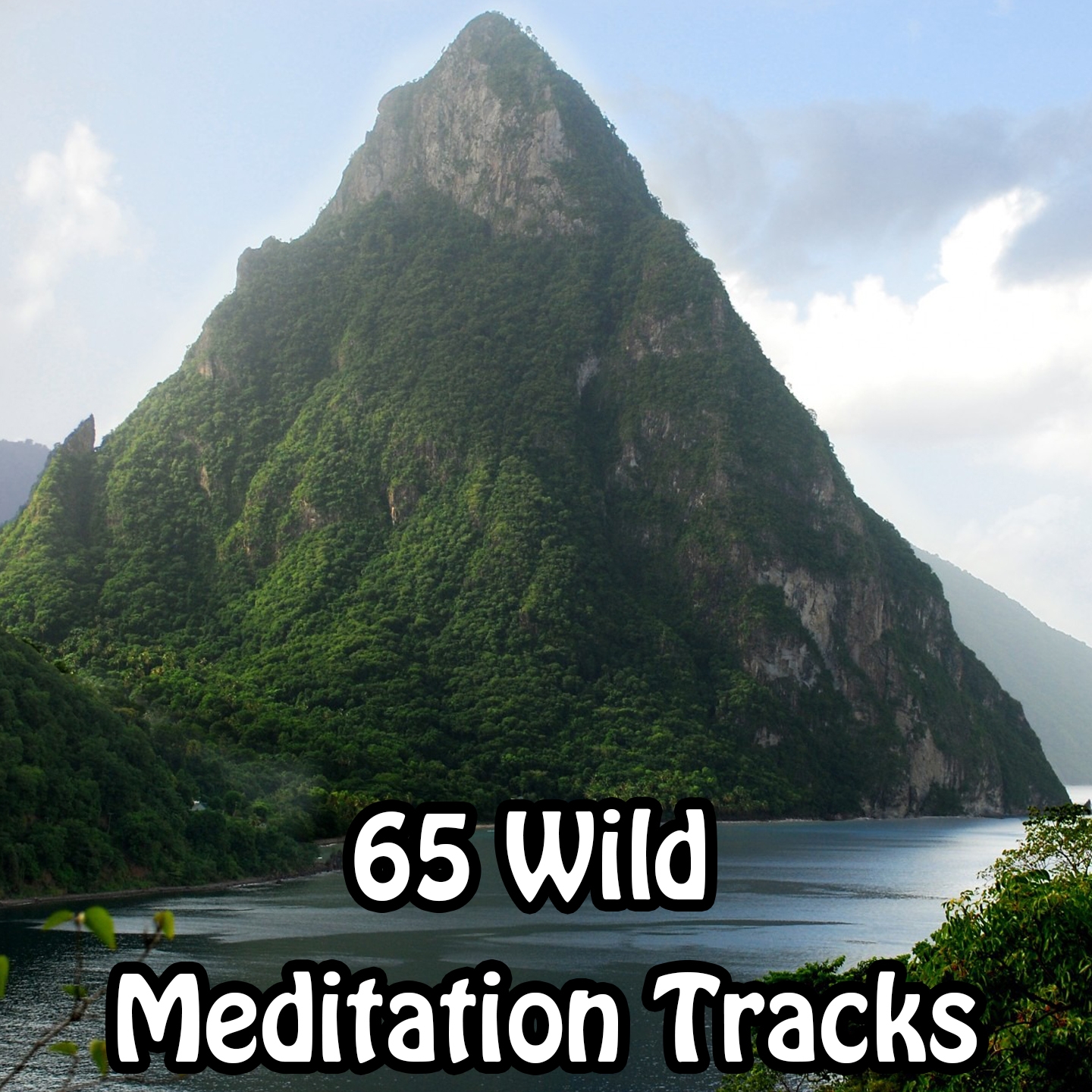 65 Wild Meditation Tracks