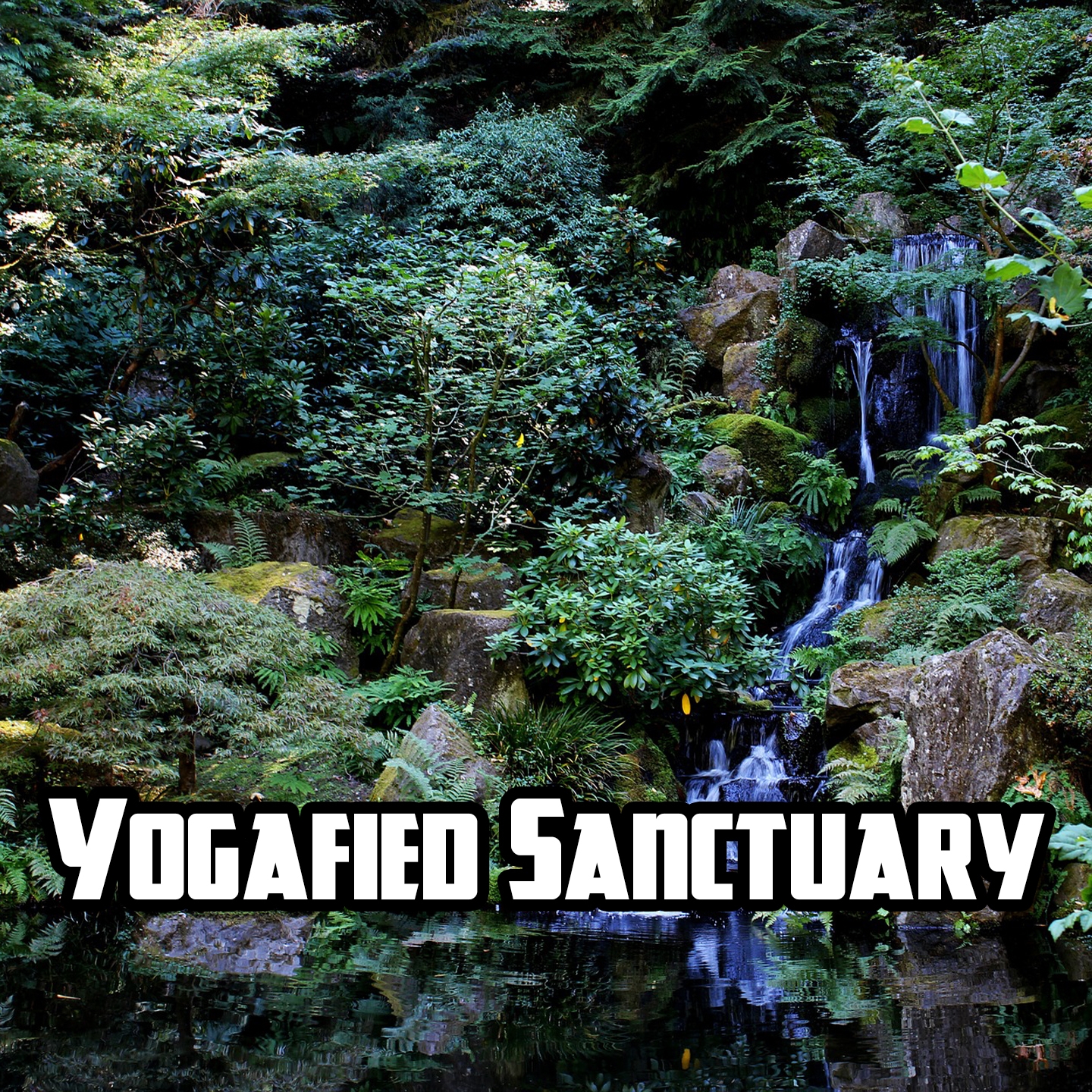Yogafied Sanctuary