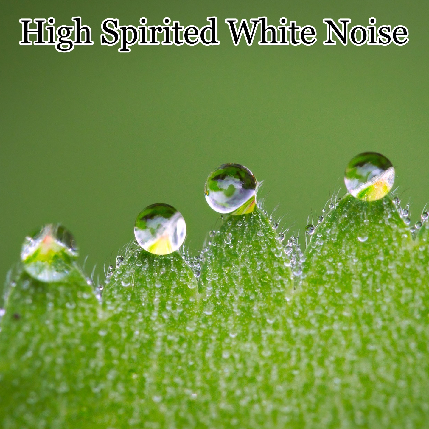High Spirited White Noise