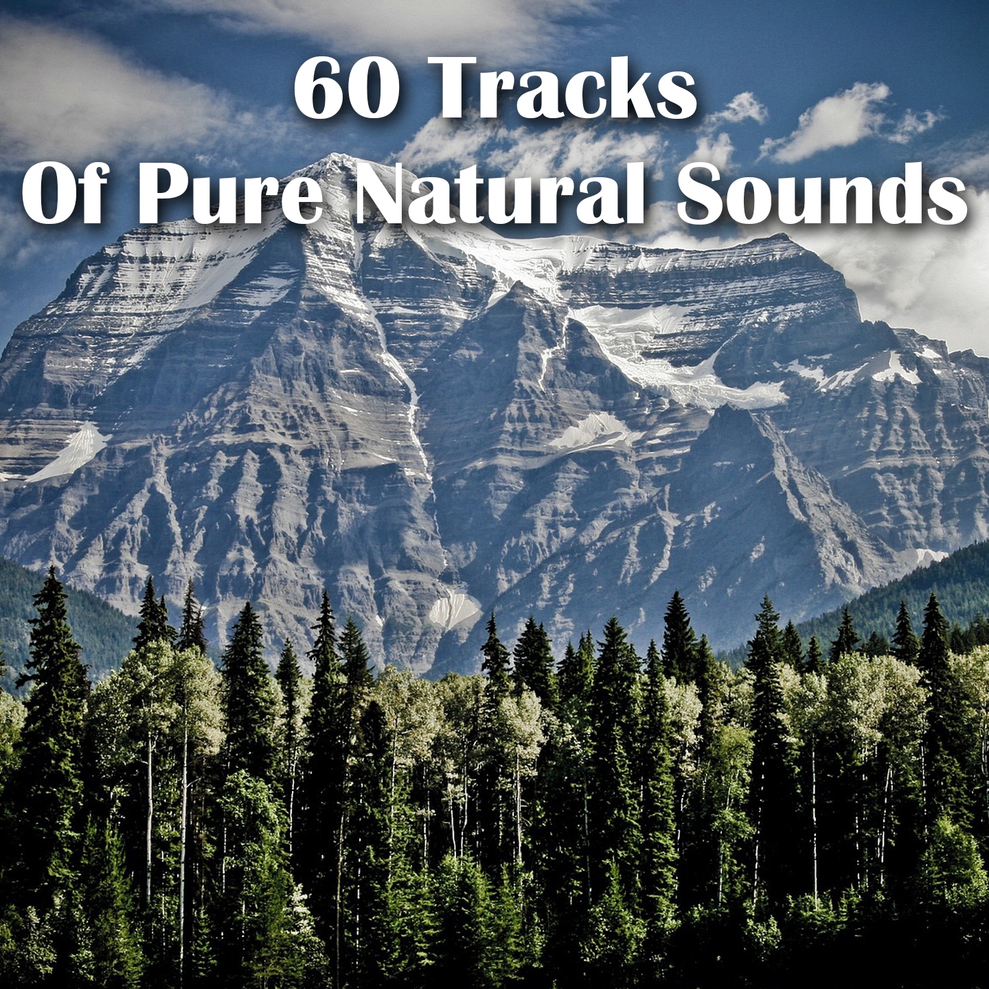 60 Tracks Of Pure Natural Sounds