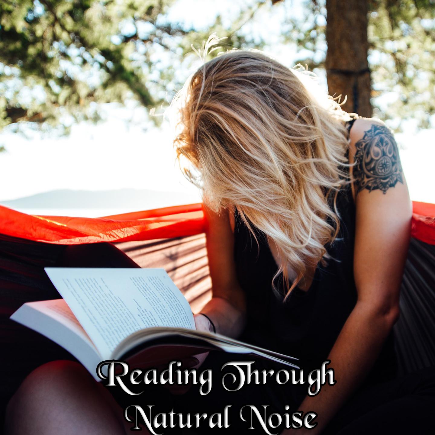 Reading Through Natural Noise
