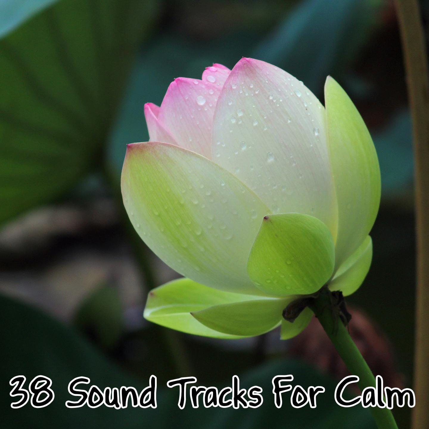 38 Sound Tracks For Calm