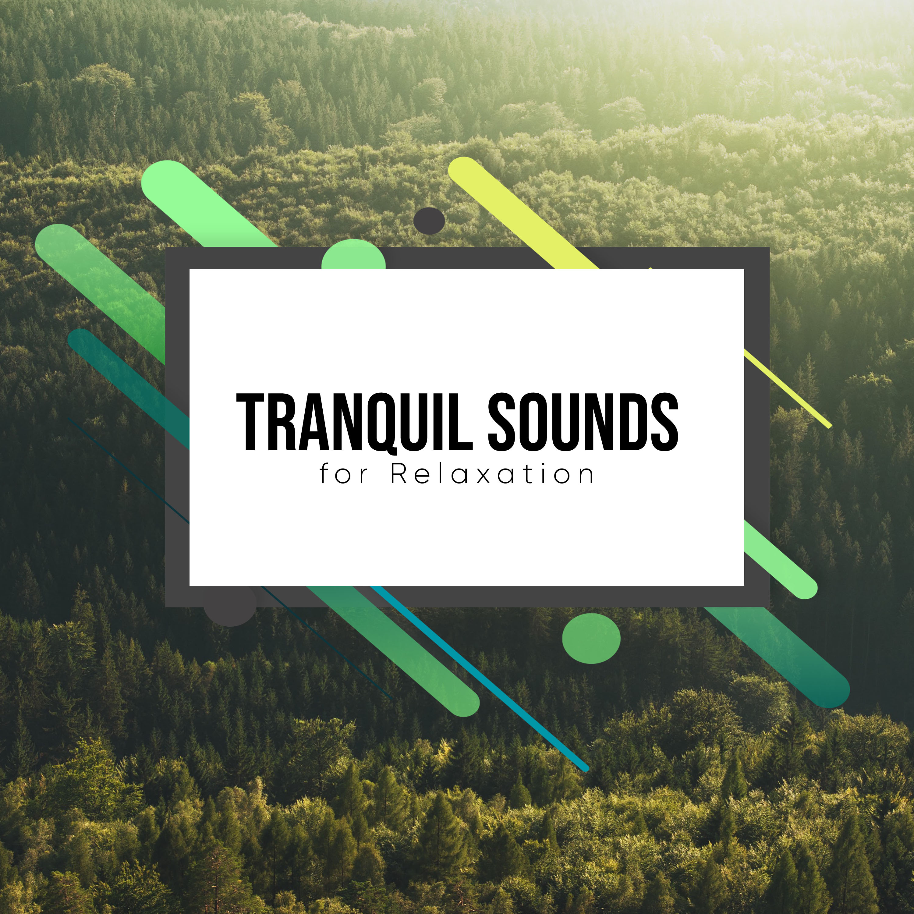 18 Tranquil Sounds for Relaxation Therapy