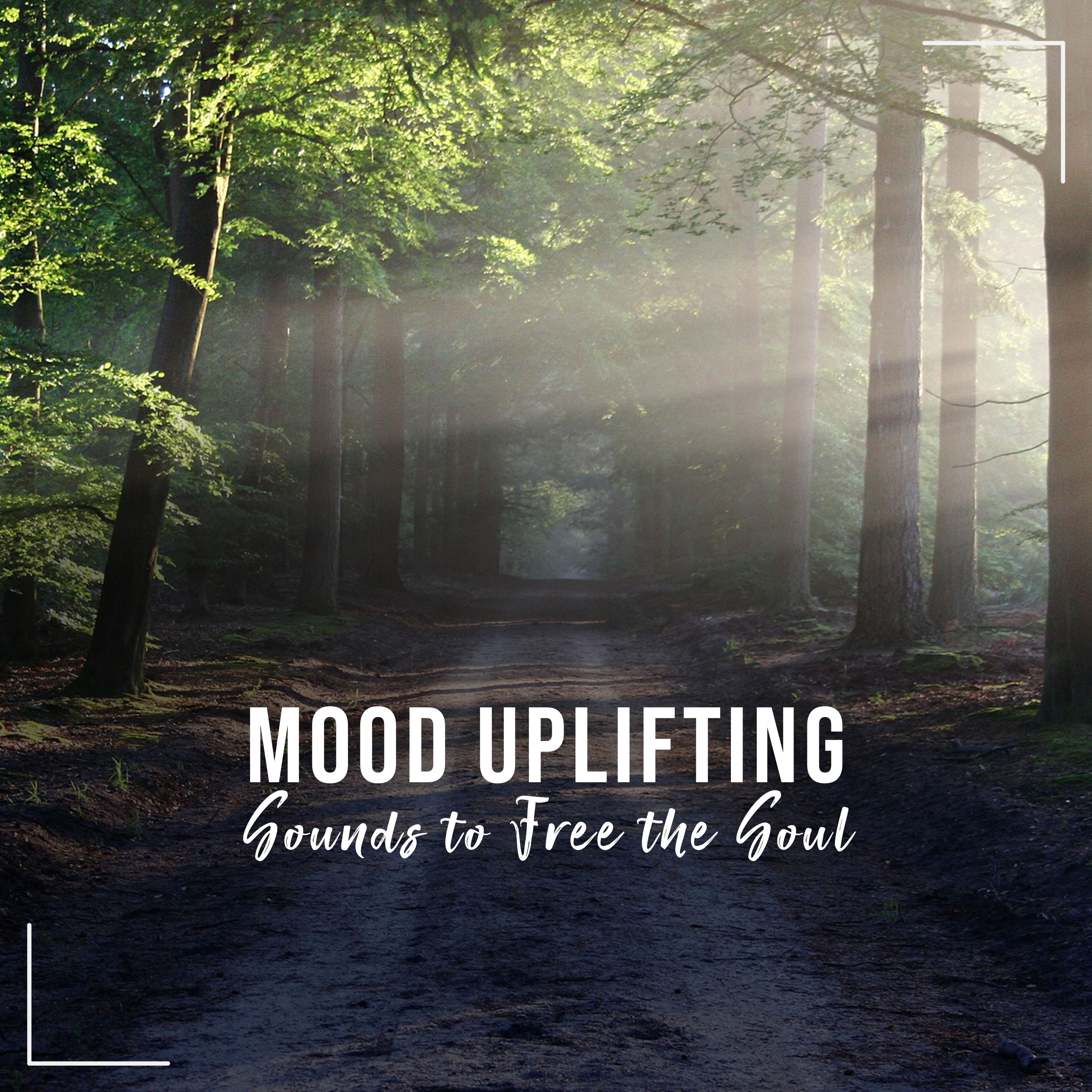 20 Mood Uplifting Sounds to Free the Soul