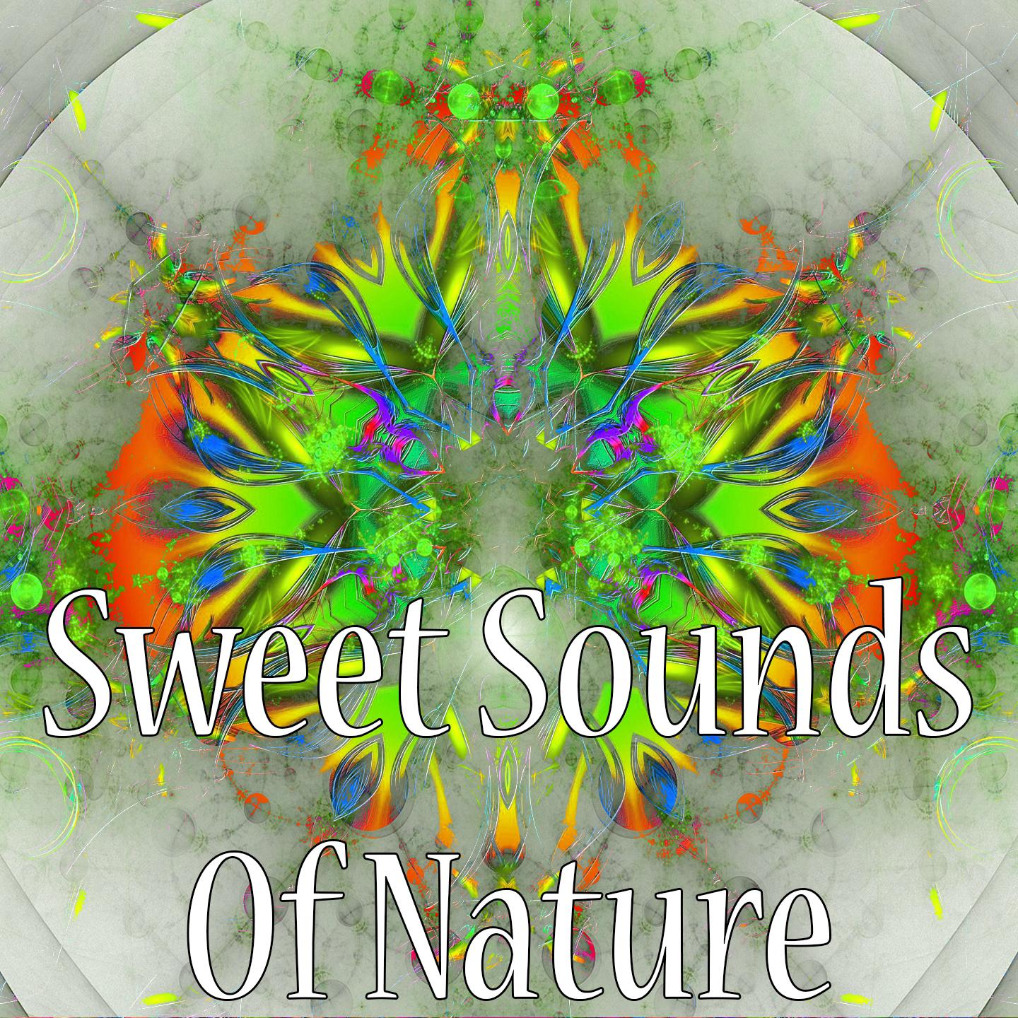 Sweet Sounds Of Nature