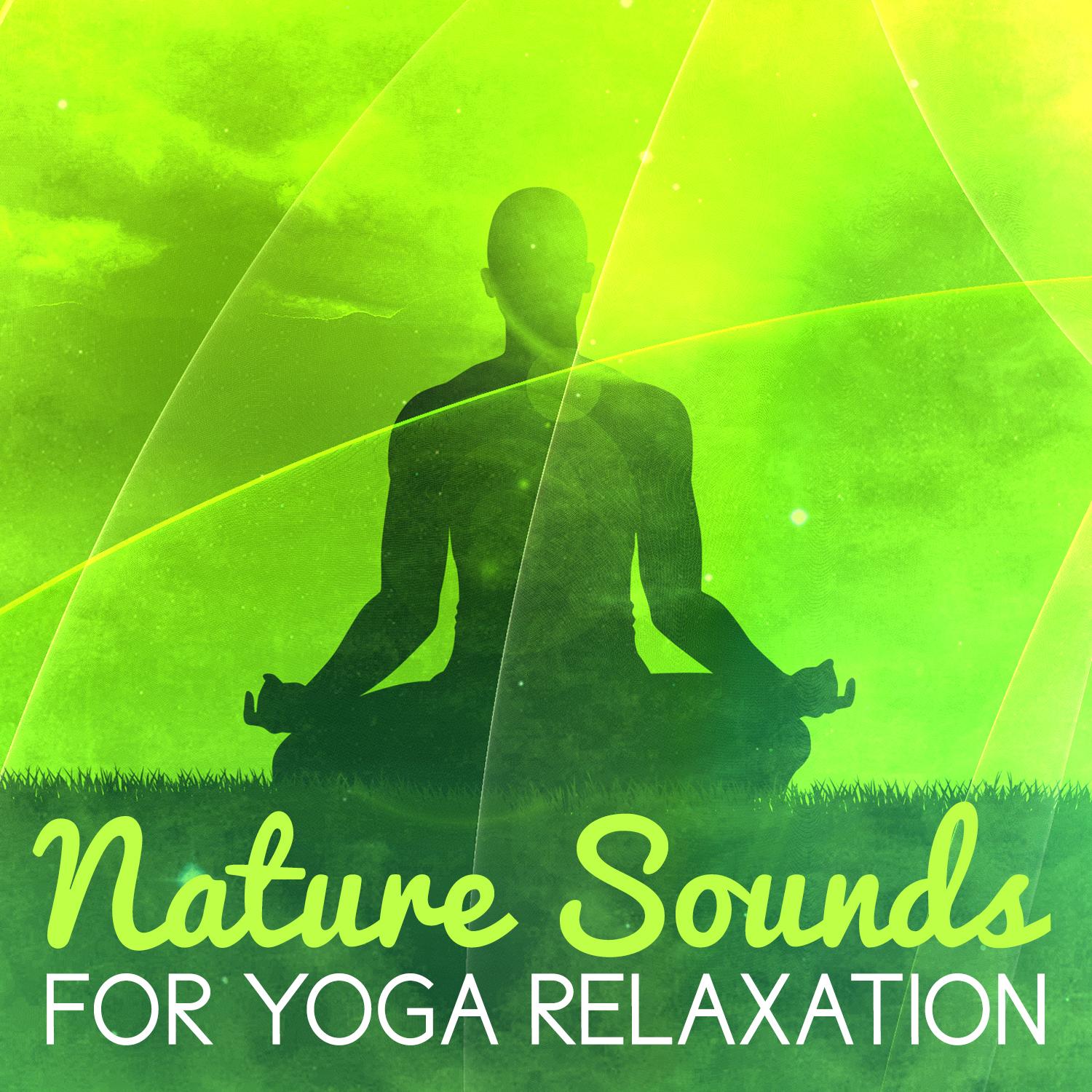 Nature Sounds for Yoga Relaxation