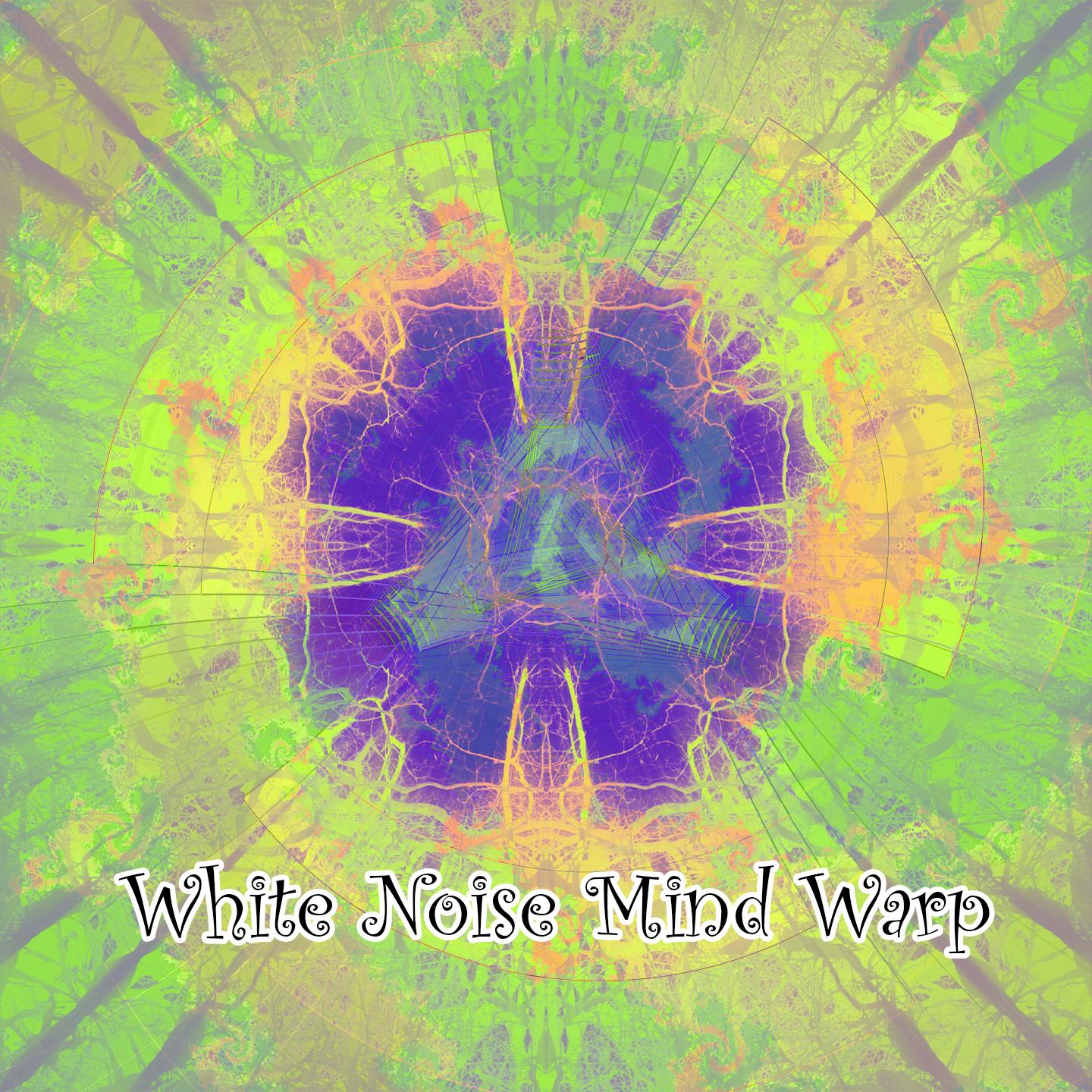 White Noise Mind Warp