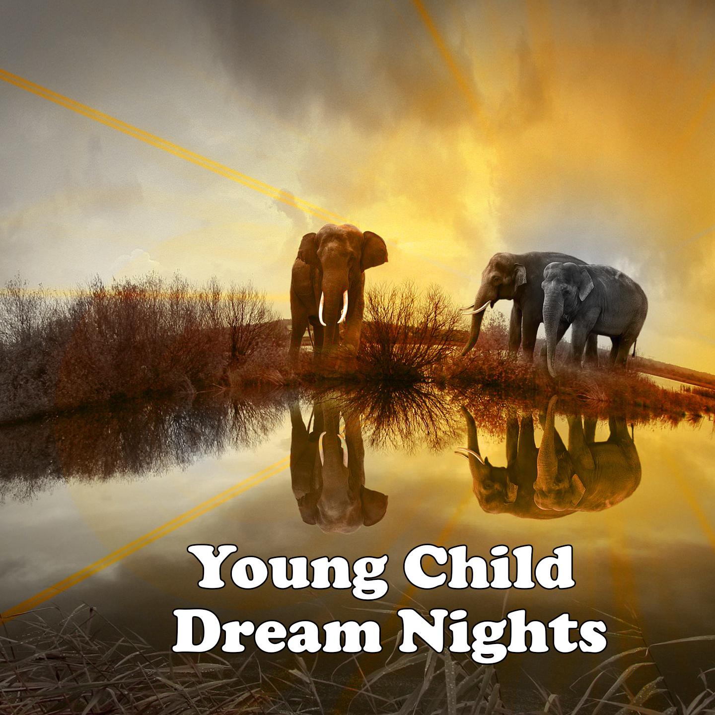 Young Child Dream Nights