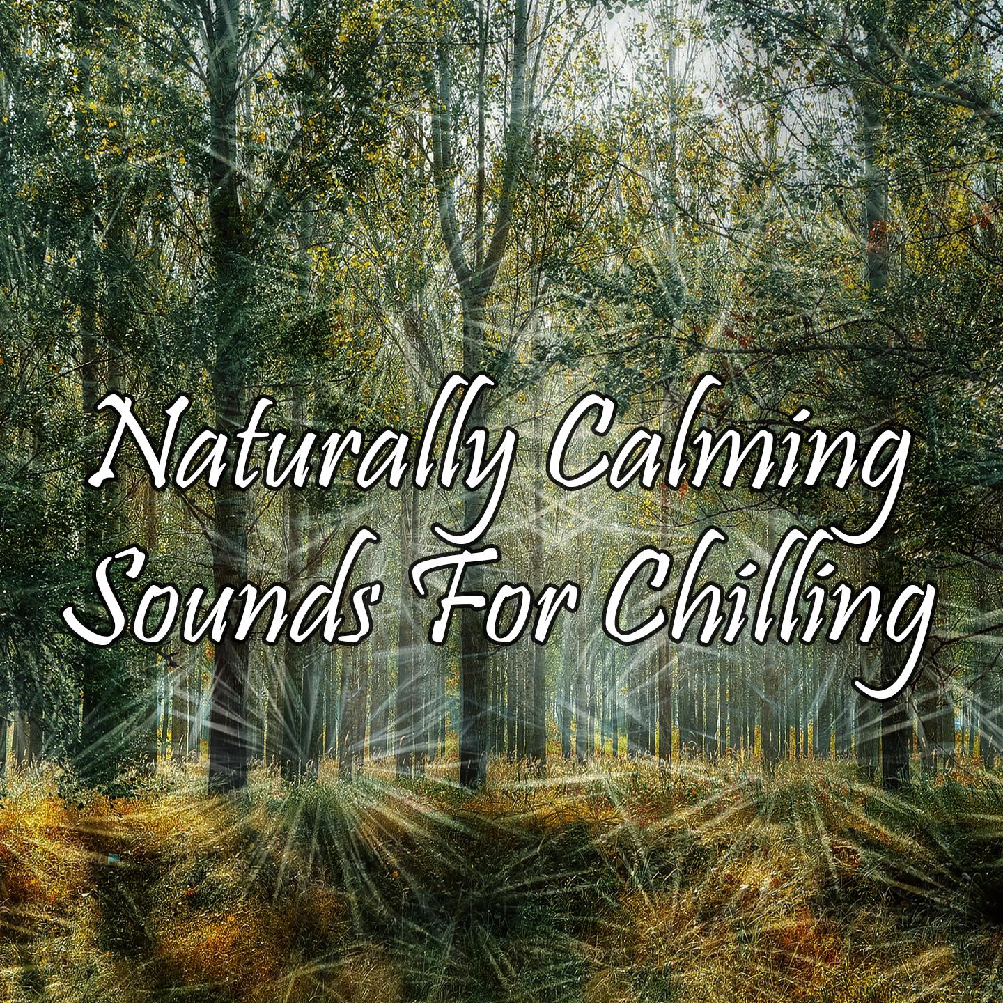 Naturally Calming Sounds For Chilling