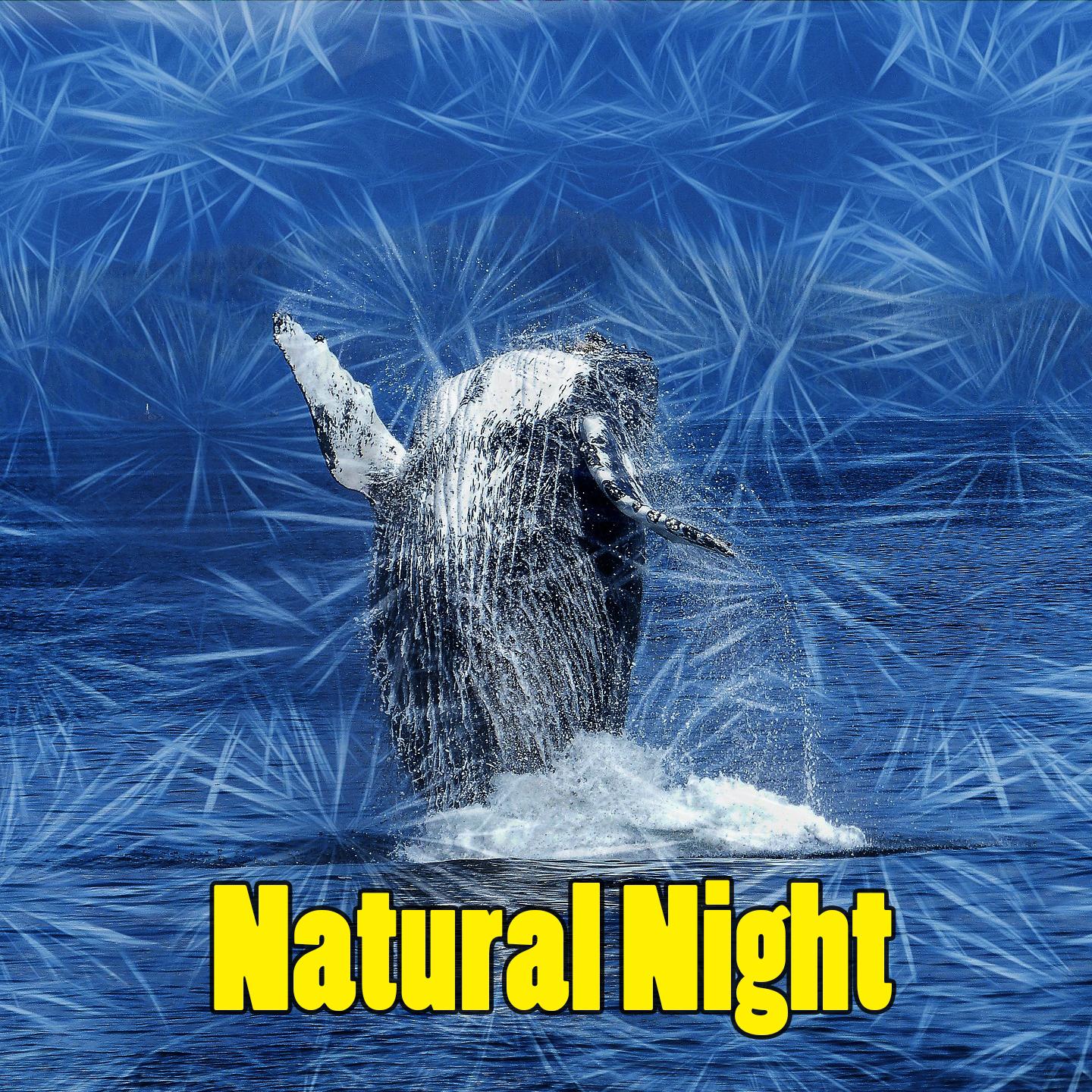 Natural Night