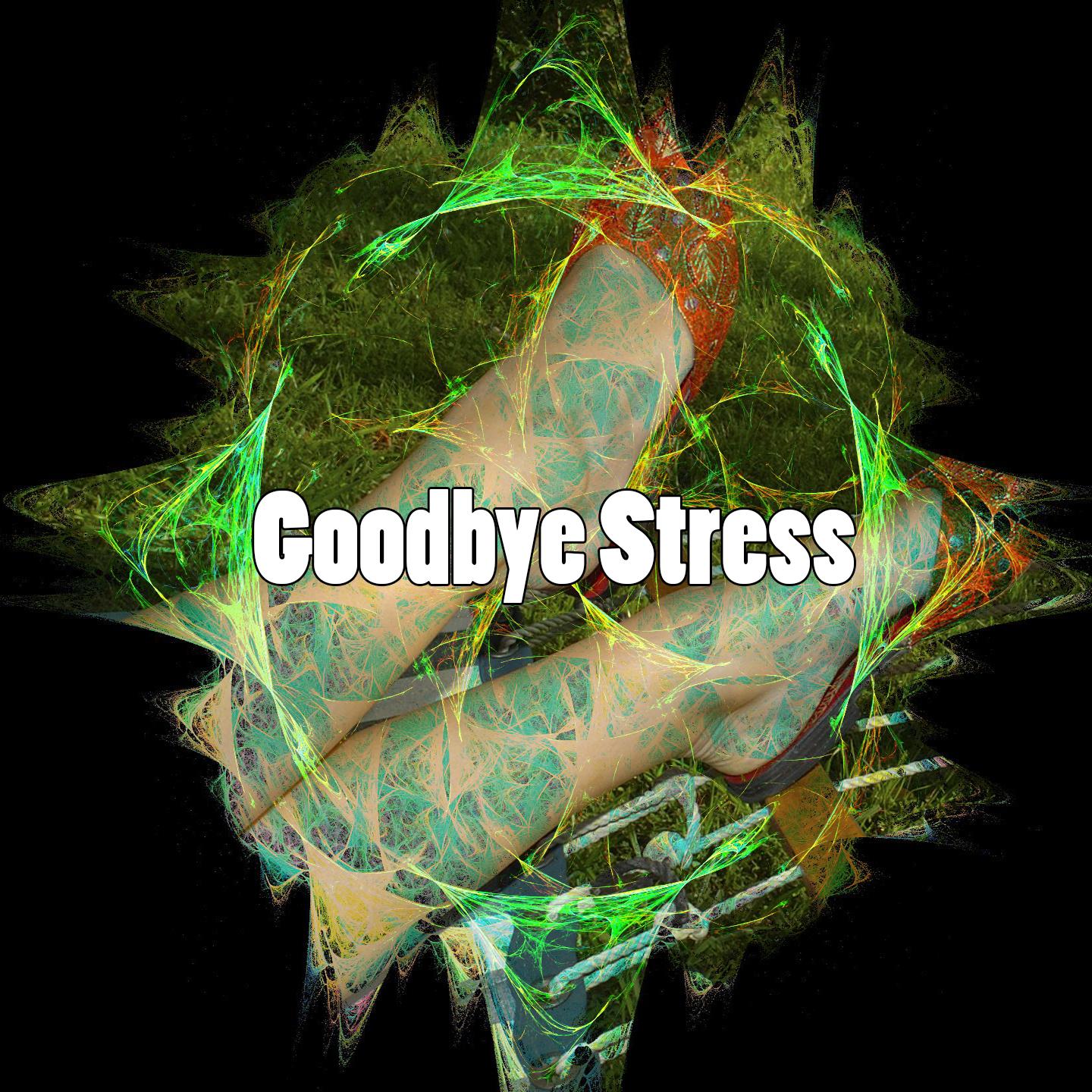 Goodbye Stress
