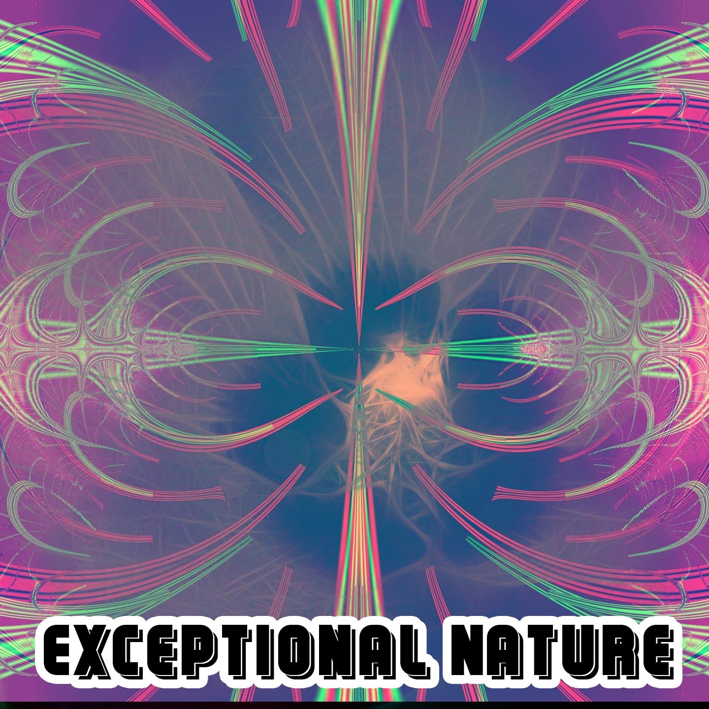 Exceptional Nature