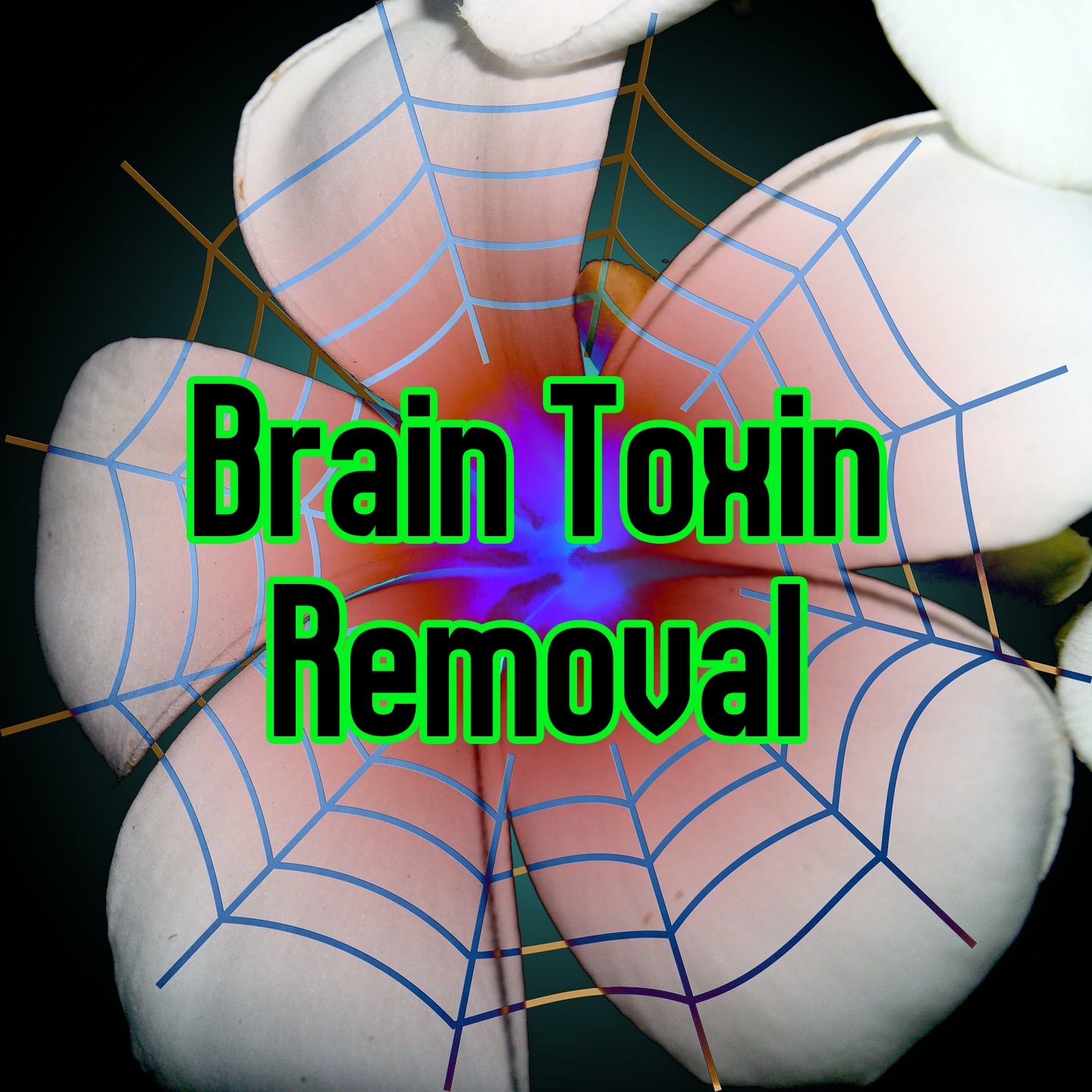 Brain Toxin Removal