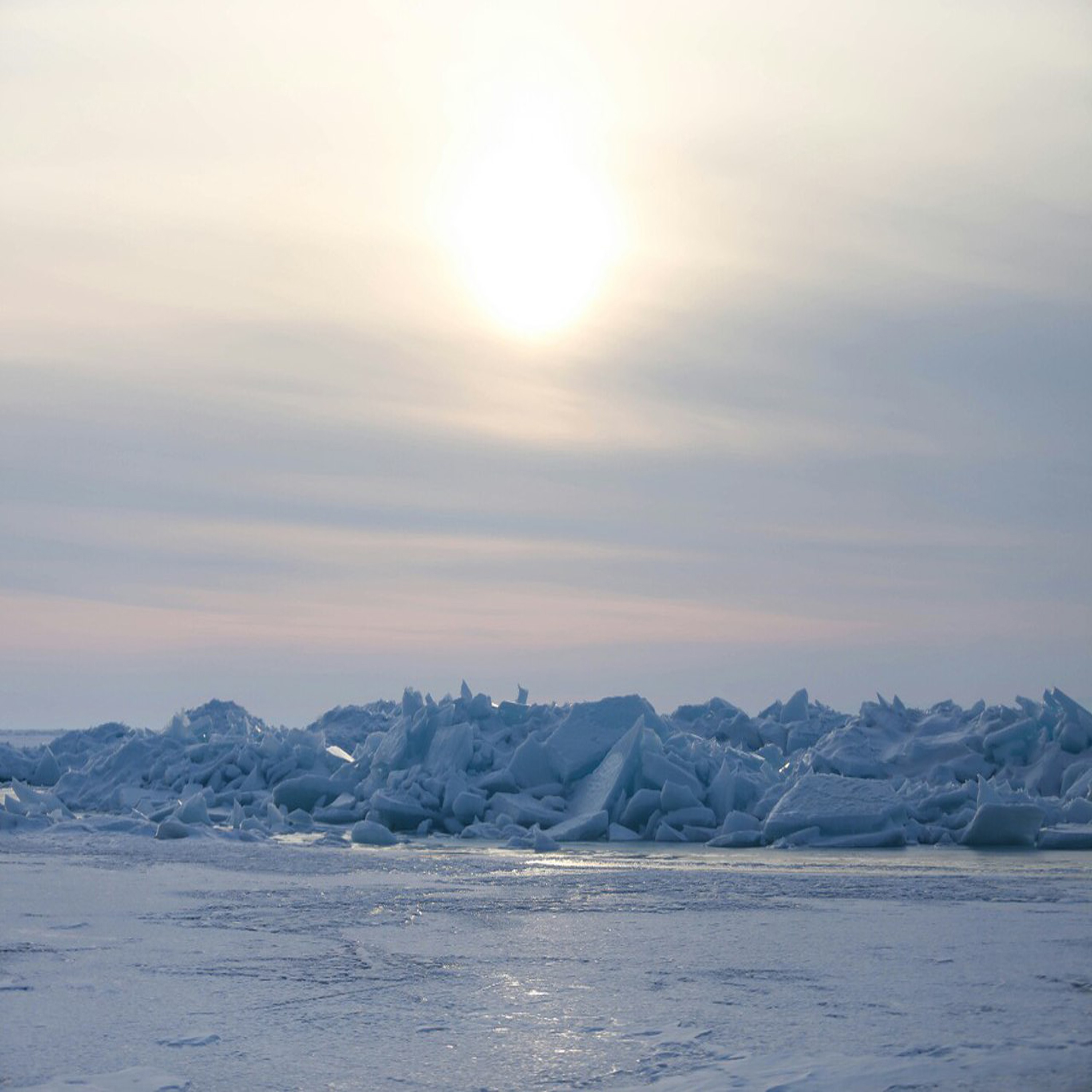 Siberian Morning